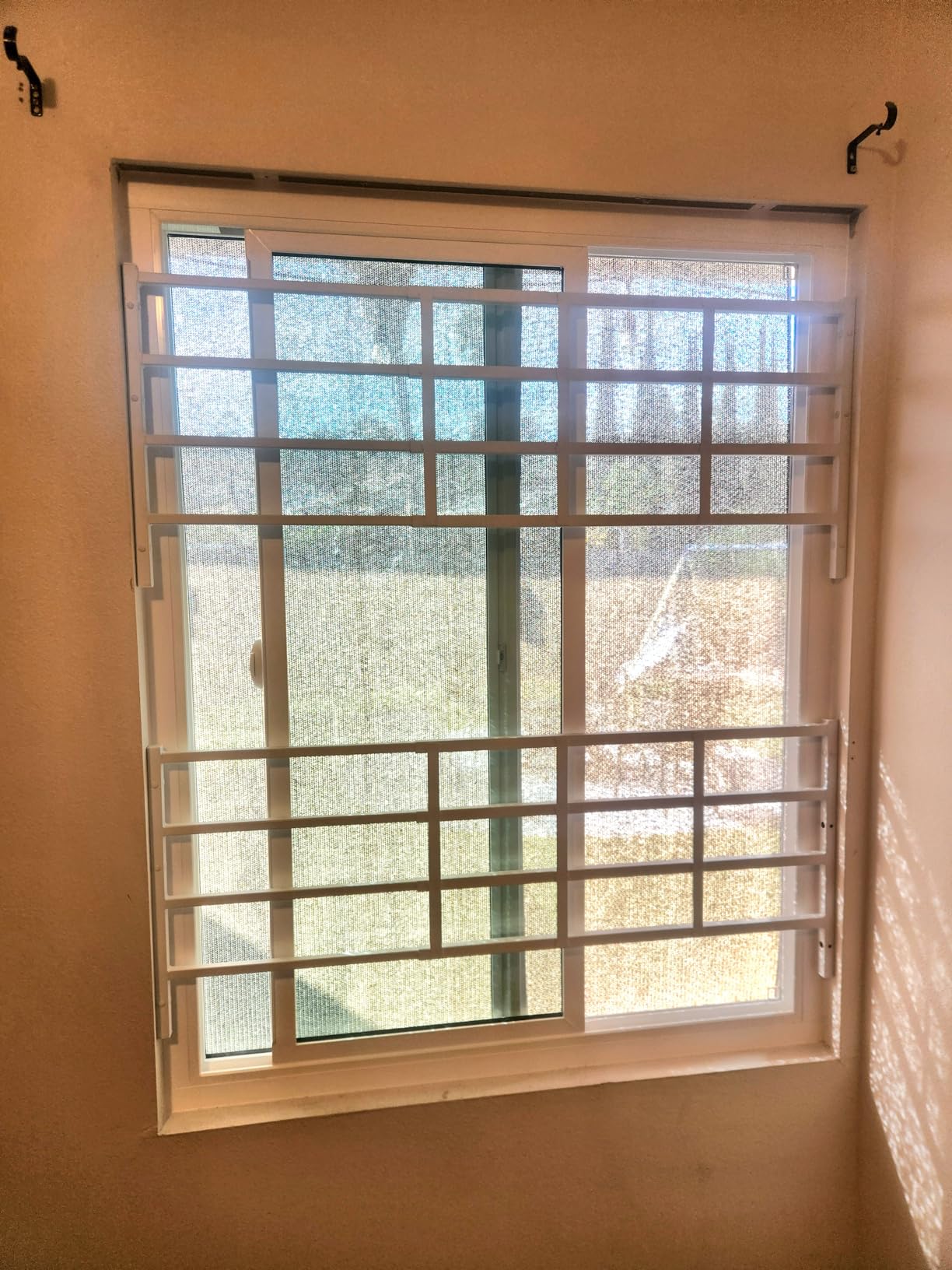 Fixed Window Safety Guard 14