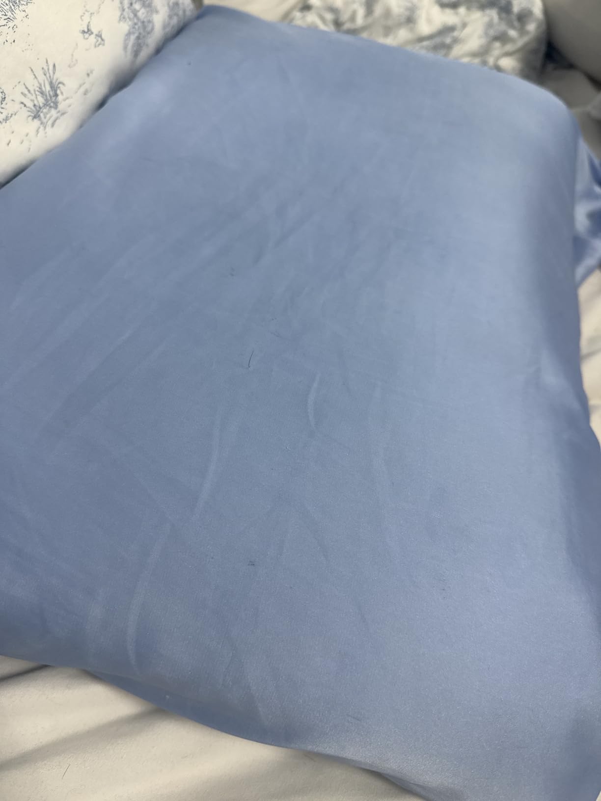 Silk Pillowcase for Hair and Skin, Mulberry Silk Pillow Cases Standard Size, Anti Acne Cooling Sleep Both Sides Natural Silk Satin Pillow Covers with Hidden Zipper, Gifts for Women Men, Ash Blue customer photo 2