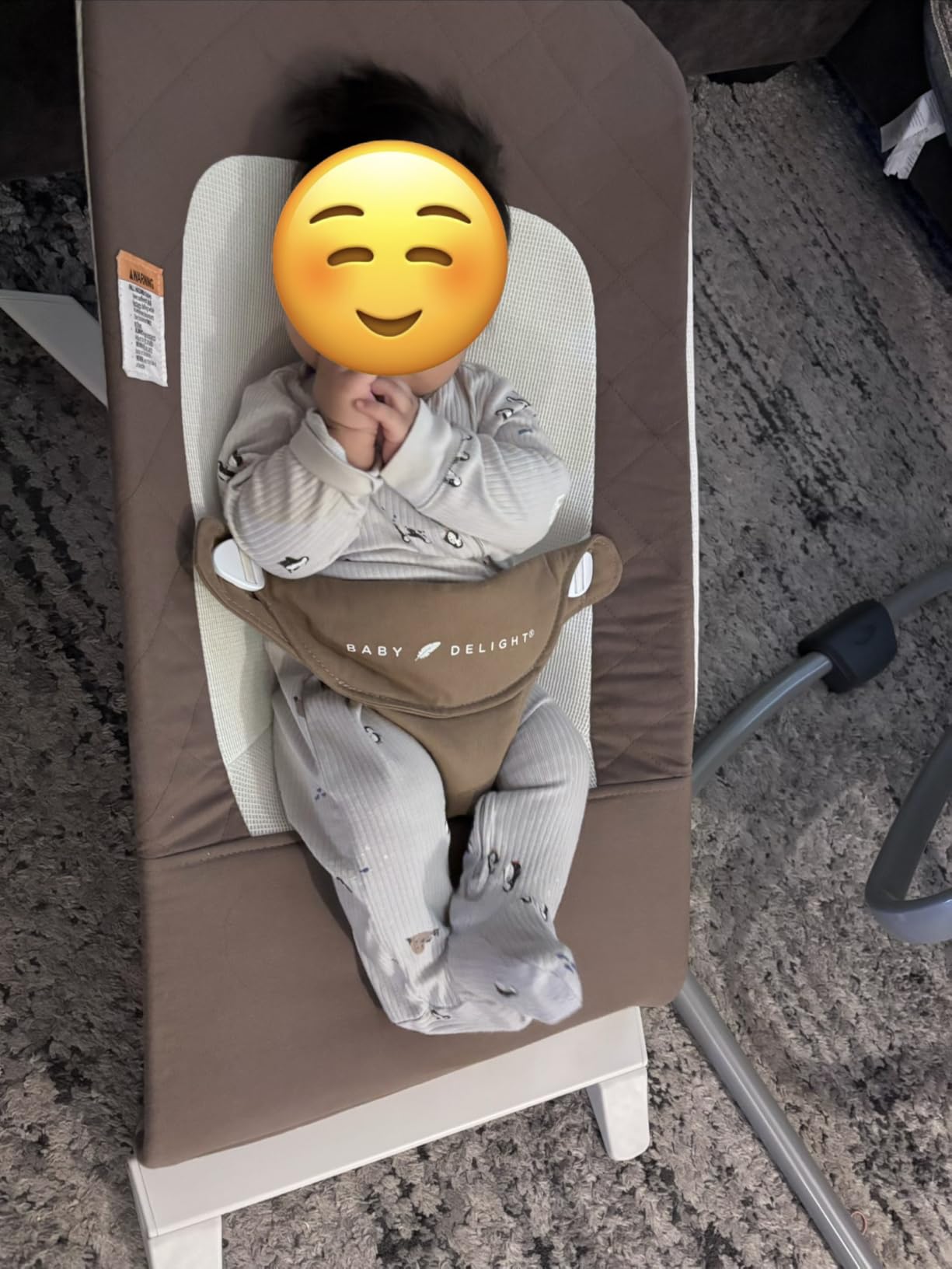 Baby Delight Alpine Wave Deluxe Infant Swing | Automated Motion Baby Lounger Seat | Infants 0 - 6 Months | Driftwood Grey customer photo 1