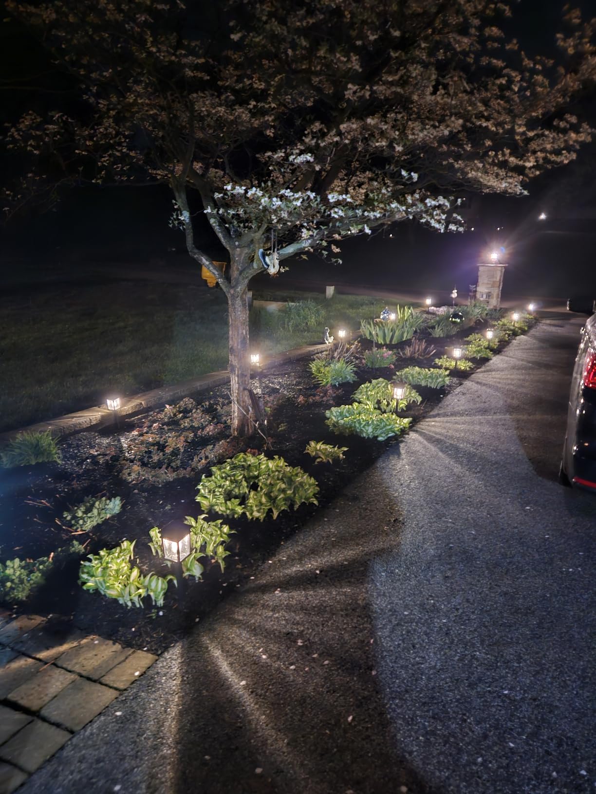 Mancra Solar Pathway Lights, 8 Pack LED Solar Lights Outdoor Waterproof, Glass Metal Garden Lighting for Yard Path Landscape Lawn Walkway Driveway, 3000K customer photo 1