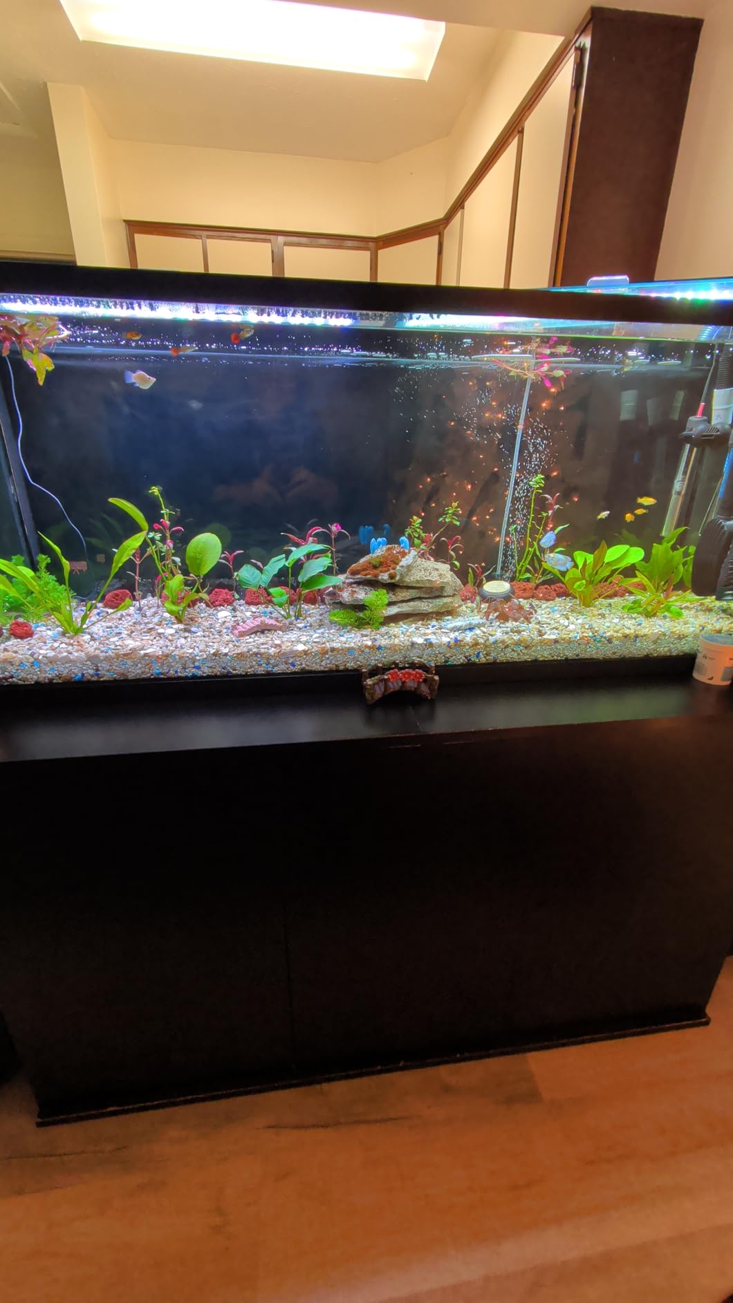Fluval FX2 High Performance Canister Aquarium Filter - Multi-Stage Filtration customer photo 2