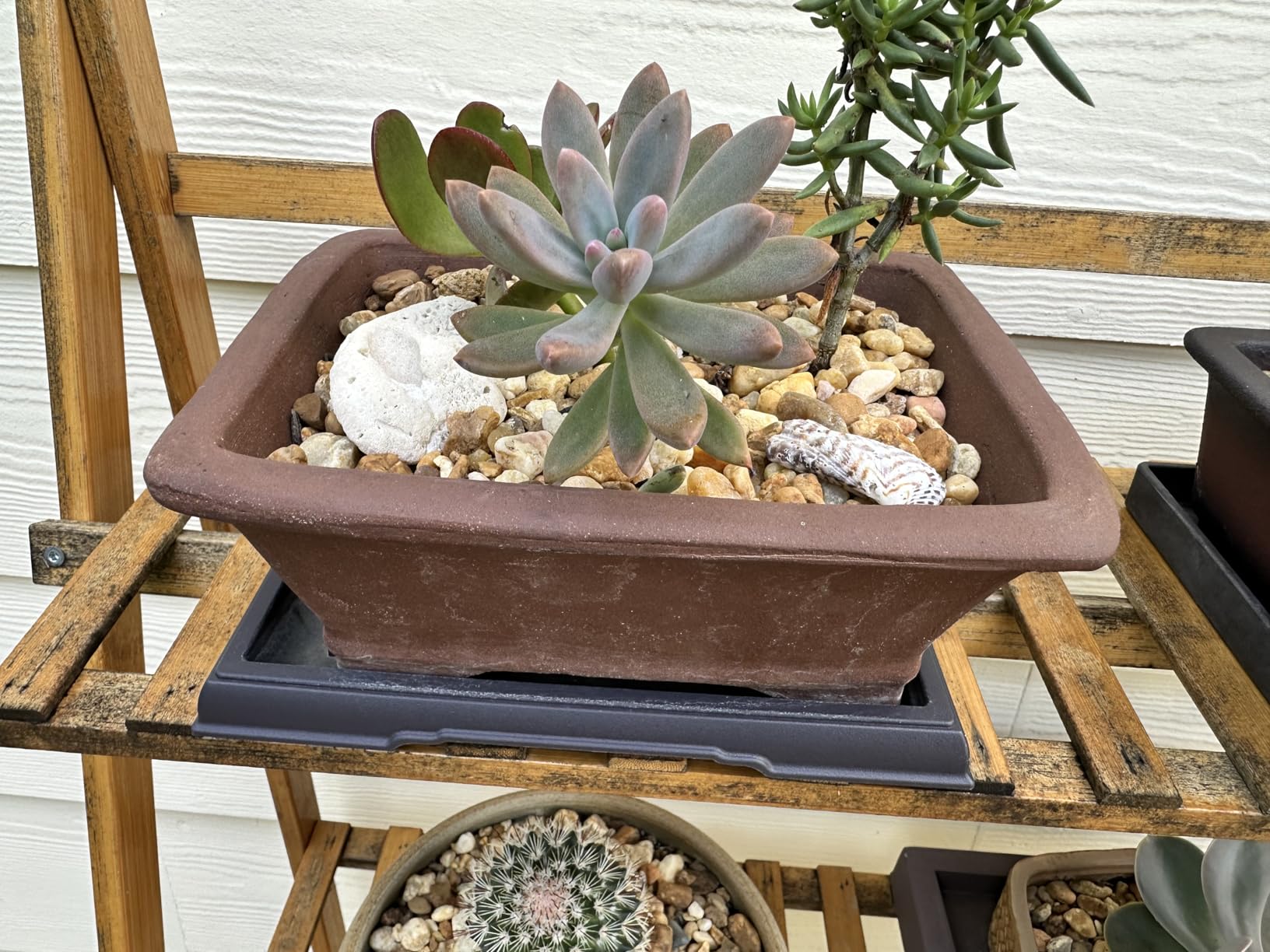 Pinkunn 2 Pcs Bonsai Humidity Tray Rectangular Drip Tray Plastic Plant Water Catcher Plant Saucers for Indoors and Outdoors Cactus, Succulents, Bonsai Tree, Stone Not Included (11 x 8 Inch) customer photo 1