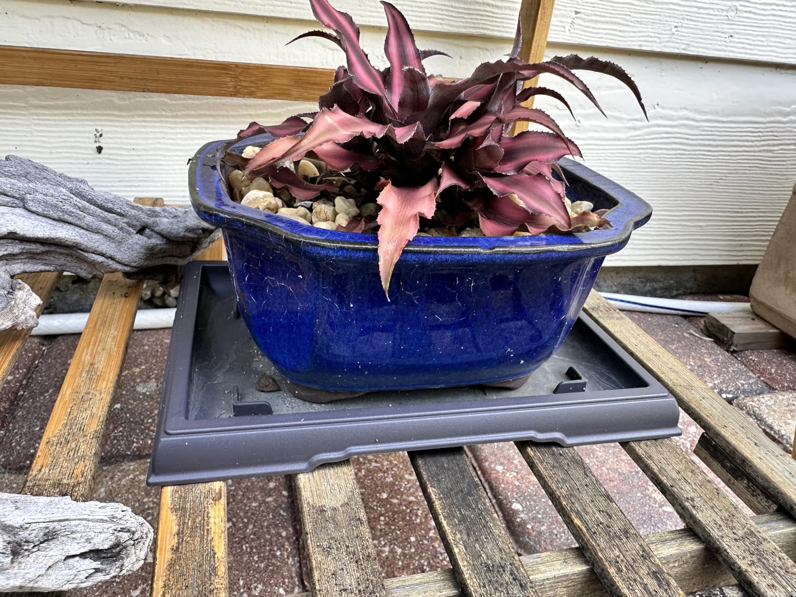 Pinkunn 2 Pcs Bonsai Humidity Tray Rectangular Drip Tray Plastic Plant Water Catcher Plant Saucers for Indoors and Outdoors Cactus, Succulents, Bonsai Tree, Stone Not Included (11 x 8 Inch) customer photo 2