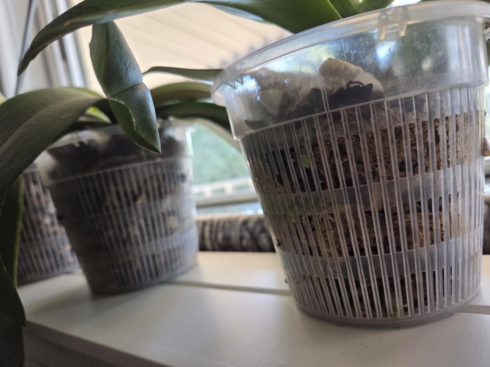 Orchid Pot, 12 Pack Orchid Pots with Holes, 4 Each of 4.5