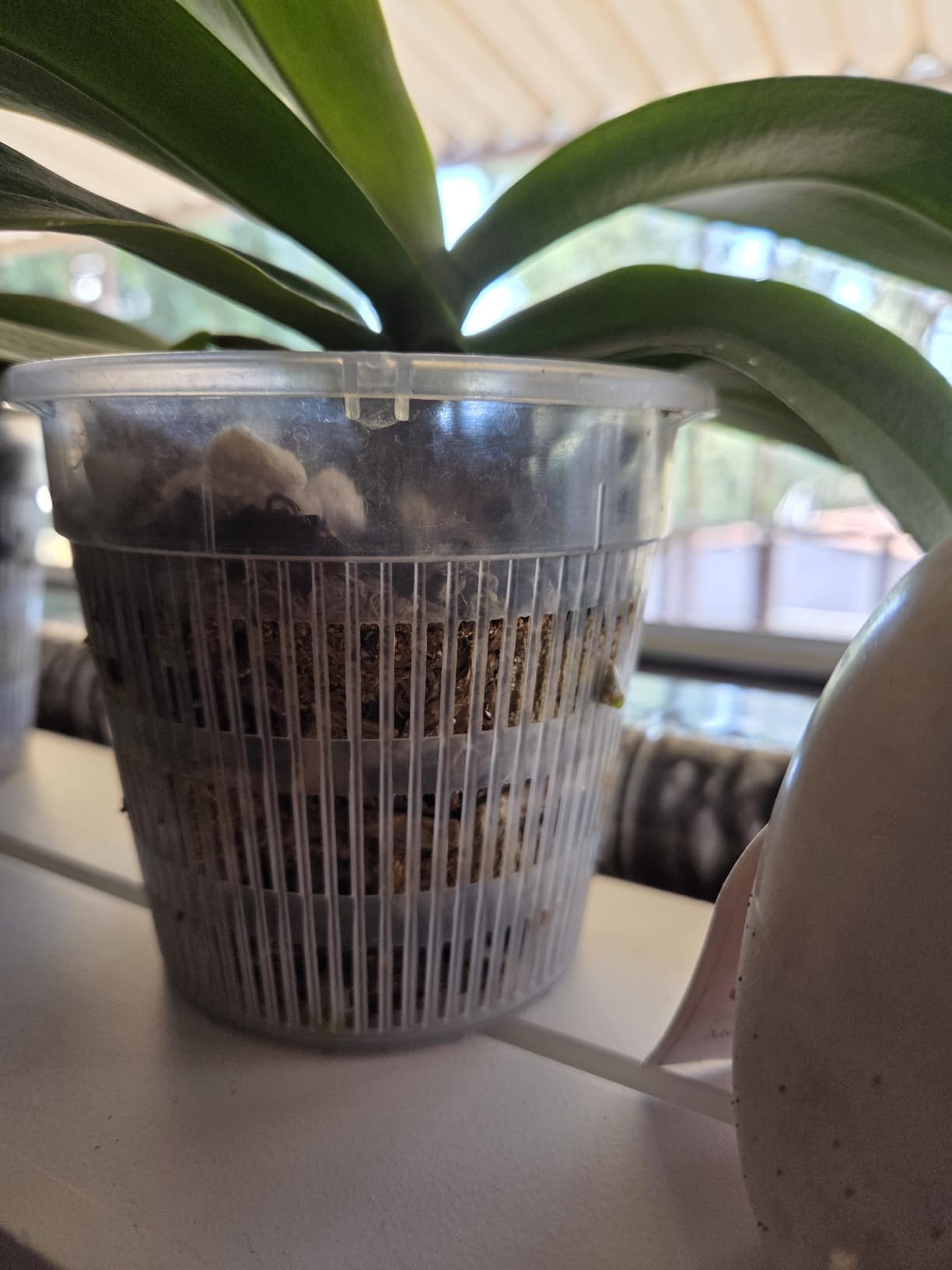 Orchid Pot, 12 Pack Orchid Pots with Holes, 4 Each of 4.5