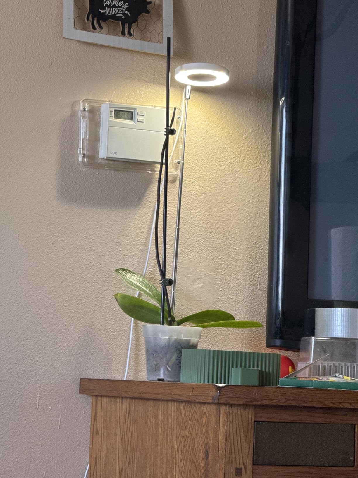 Andy's Orchids LED Grow Light, Adjustable Height, Full Spectrum, 360 Lumen, 40 LED Beads, USB Powered, White, Acrylic & Metal, Modern Design, Indoor Use customer photo 1