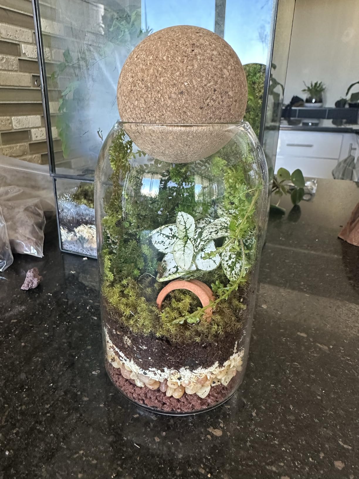 Glass Terrarium with Airtight Wood Lid (Ball Cork) | Closed Terrarium Planter | Clear Glass Bottle Jar Container | 800ml / 27oz | Moss Terrarium Jar | Indoor Ecosystem Decoration Gifts customer photo 1