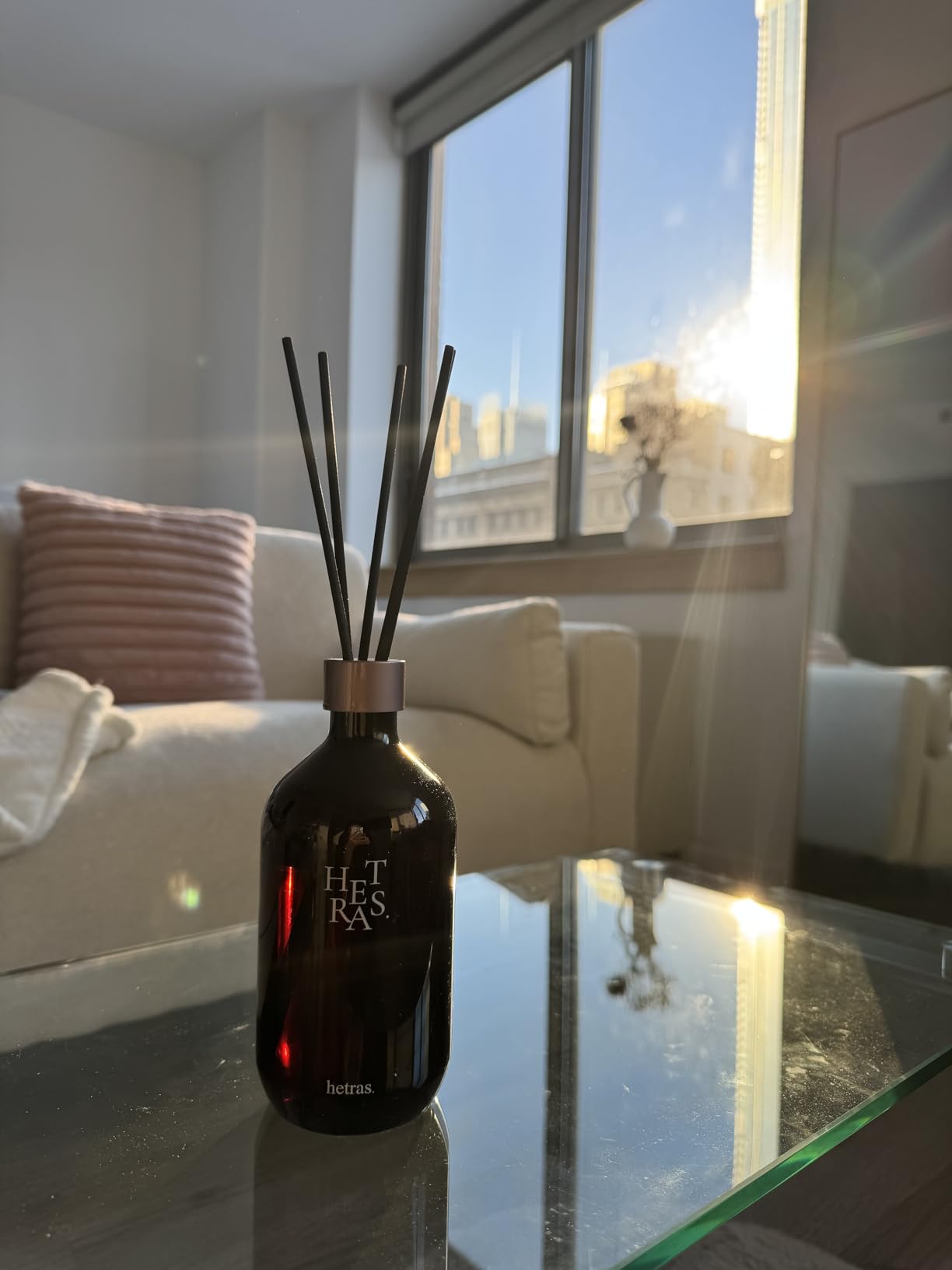 hetras Premium Reed Diffuser Set 16.9 fl.oz. 2 Pack | Hotel Wood - Woody & Musk Scent | Luxury Home Fragrance with 10 Reed Sticks | Shelf Decor for Home & Office | Gift for Loved Ones customer photo 2