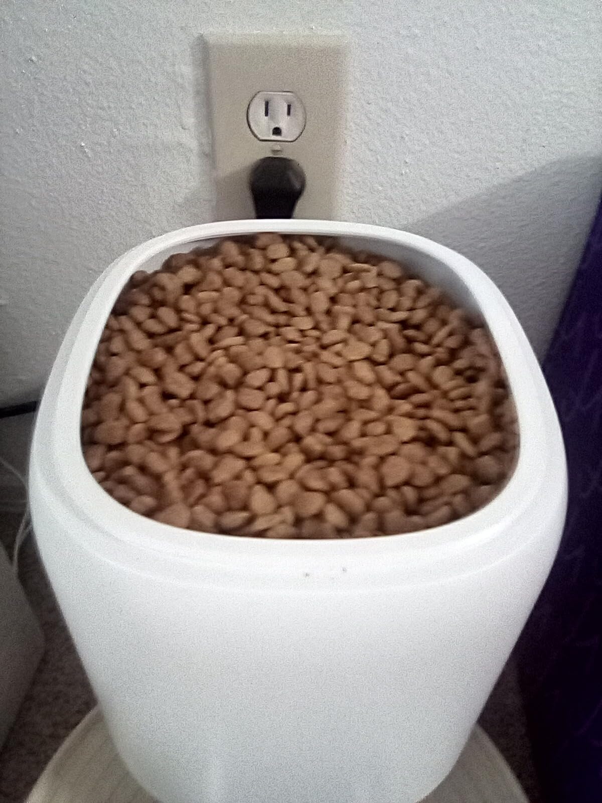 Automatic Cat Feeders - 2L Cat Food Dispenser Easy to Use, Timed Automatic Pet Feeder with Over 180-day Battery Life, 1-6 Meals Dry Food Programmable Portion Control Also for Dogs customer photo 1