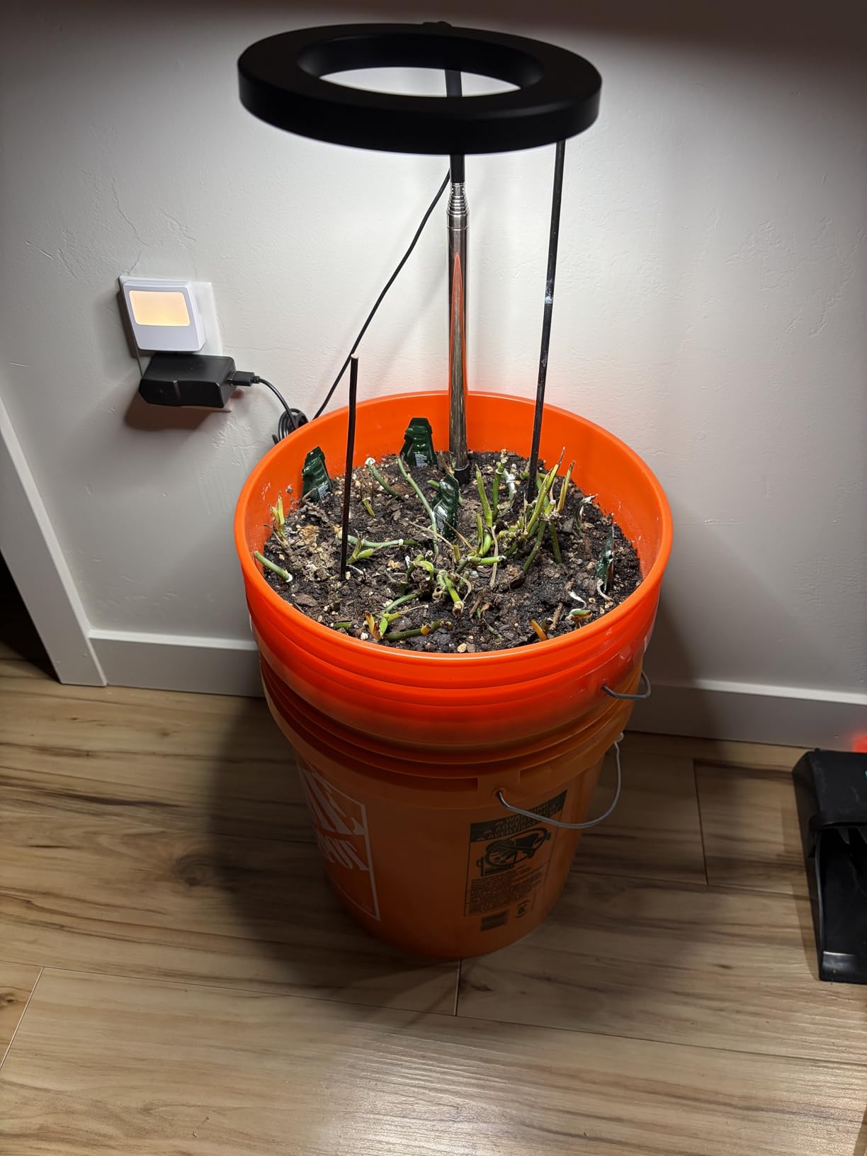 Aokrean Plant Grow Light, 48 LEDs Full Spectrum Grow Lights for Indoor Plants, Height Adjustable Small Halo Grow Light with Base, 3 Optional Spectrums, Auto Timer 3/9/12Hrs, 10 Brightness, 3 Pack customer photo 2
