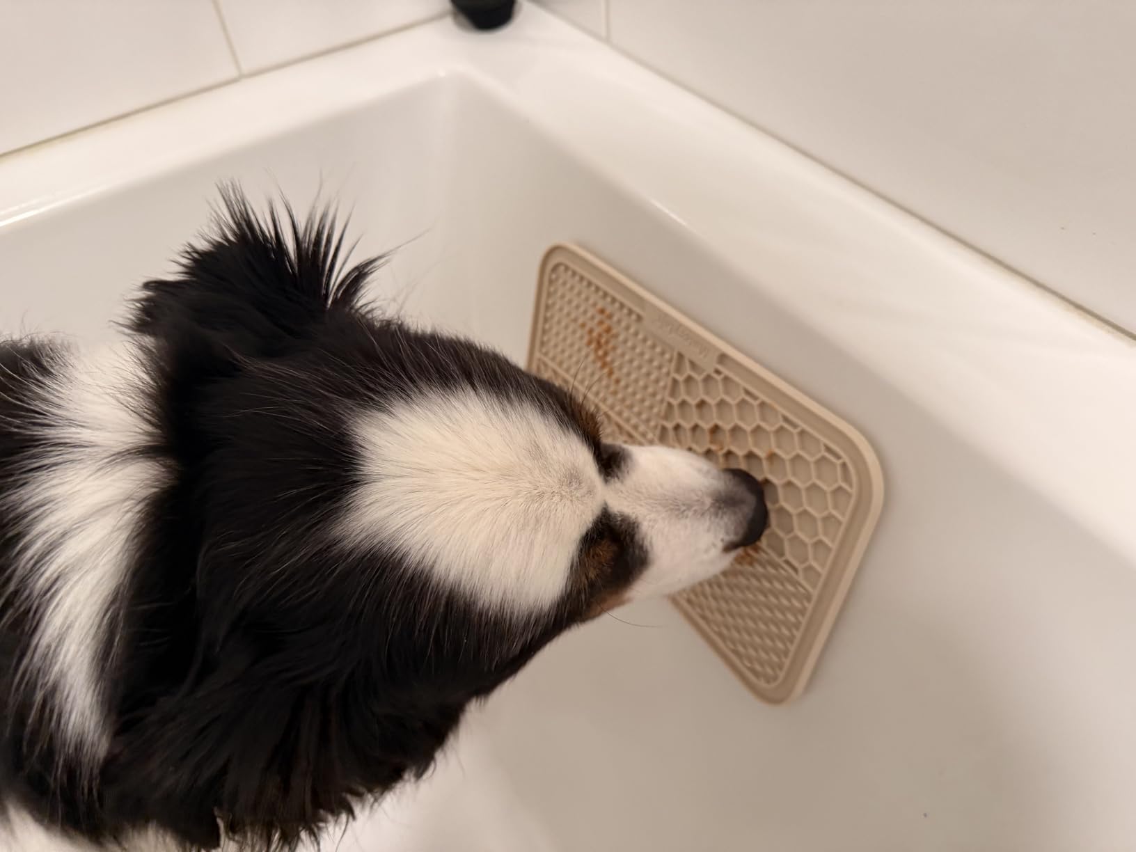 MateeyLife 2PCS Large Lick Mat for Dogs with Suction Cups, Slow Feeder Bowls, Cat Lick Mat for Anxiety Relief customer photo 1