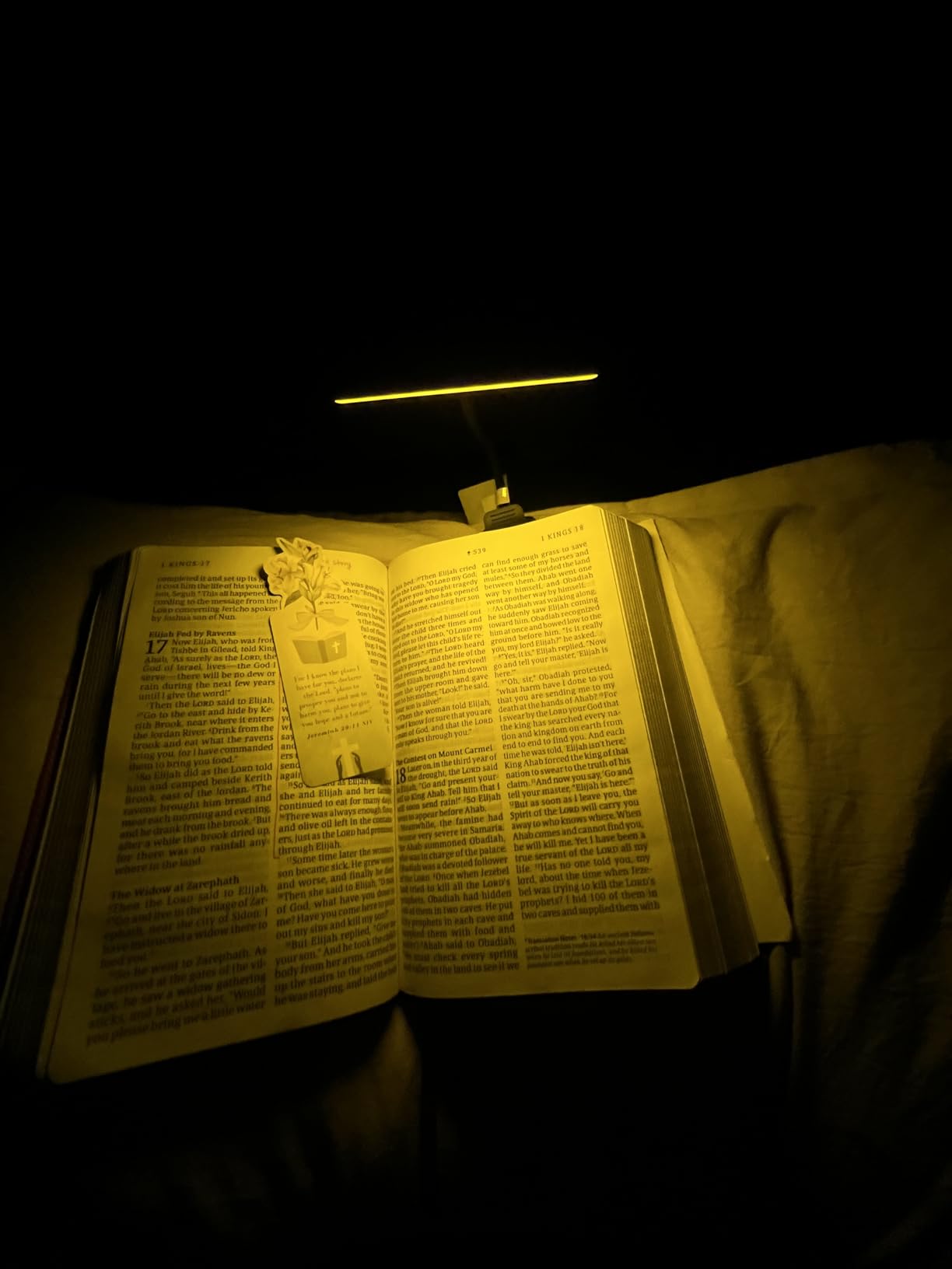 Gritin 19 LED Rechargeable Book Light for Reading in Bed with Memory Function- Eye Caring 3 Color Temperatures, Stepless Dimming Brightness, 90 Hrs Runtime Lightweight Clip on Light for Book Lovers customer photo 1