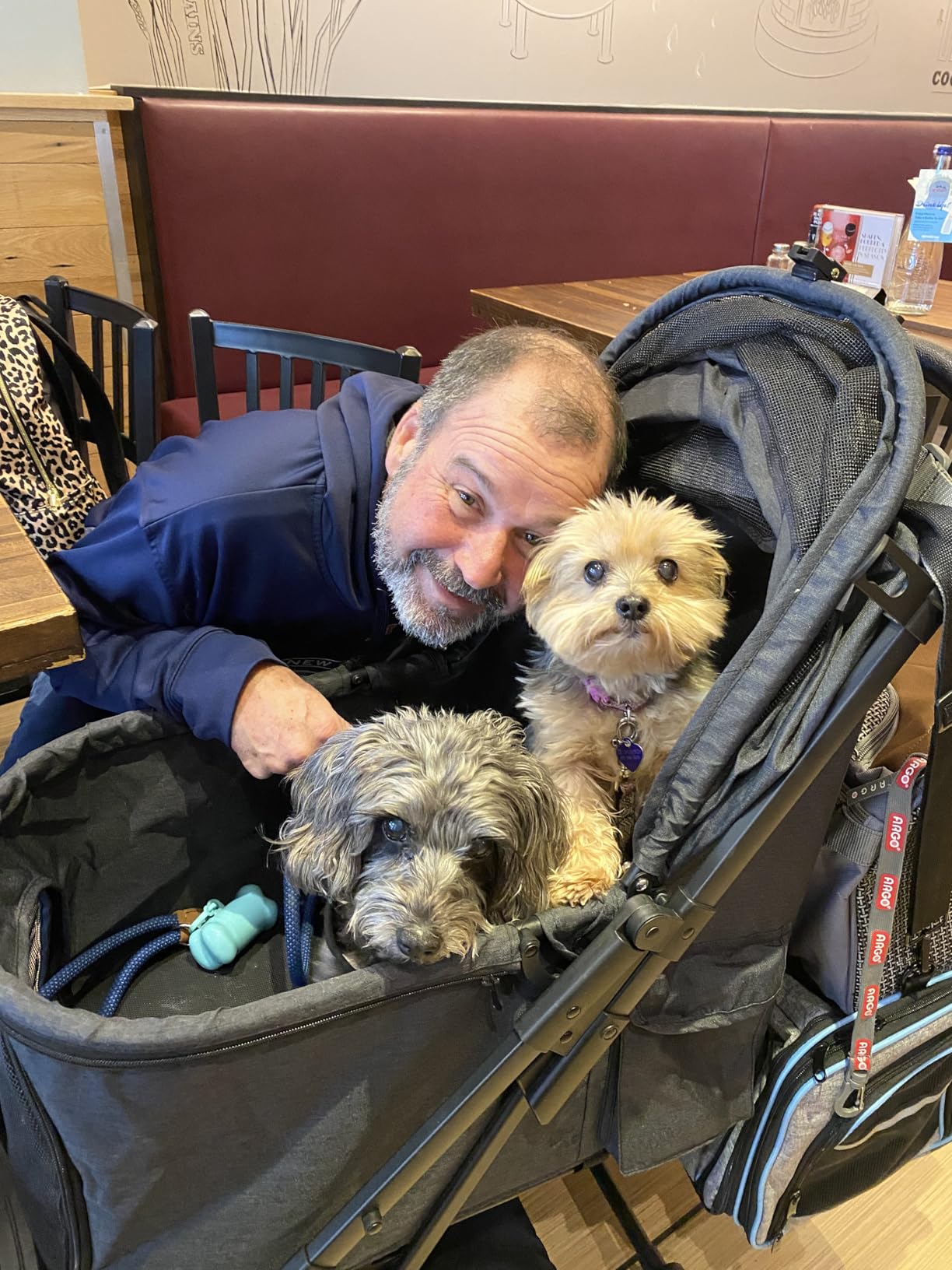 Medium Dog Stroller, Kenyone Pet Stroller for Medium Dogs Up to 55lbs, Lightweight Aluminum Frame, One Click Folding, Large Cat Stroller with No Zip Entry, Detachable Mesh, Multiple Pockets customer photo 1