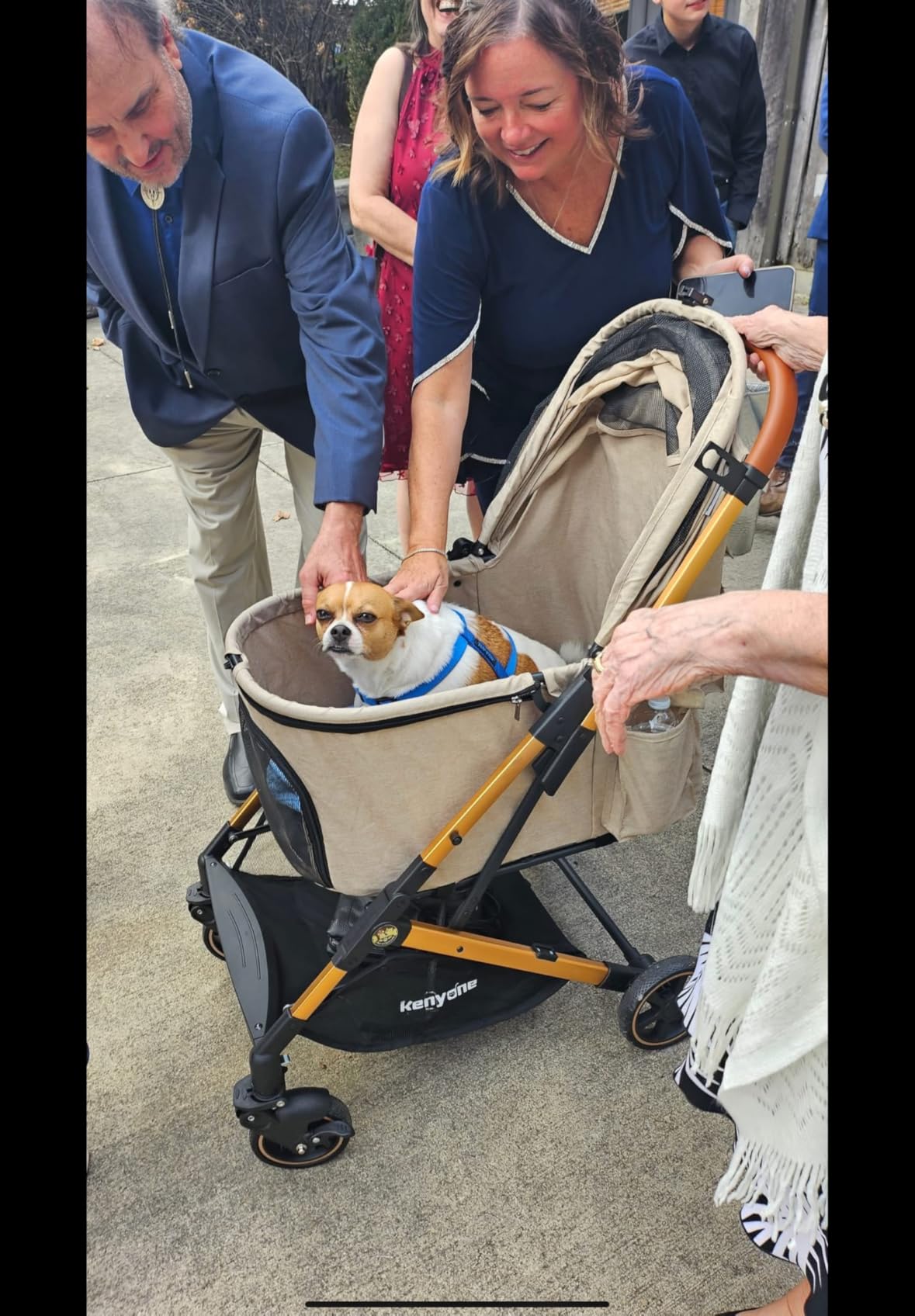 Medium Dog Stroller, Kenyone Pet Stroller for Medium Dogs Up to 55lbs, Lightweight Aluminum Frame, One Click Folding, Large Cat Stroller with No Zip Entry, Detachable Mesh, Multiple Pockets customer photo 2