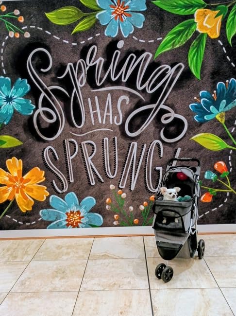 MoNiBloom Foldable Pet Stroller with Weather Cover, 3 Wheels Pet Strolling Cart for Small/Medium Dogs and Cats with Storage Basket and Cup Holder, Breathable and Visible Mesh for All-Season, Black customer photo 1