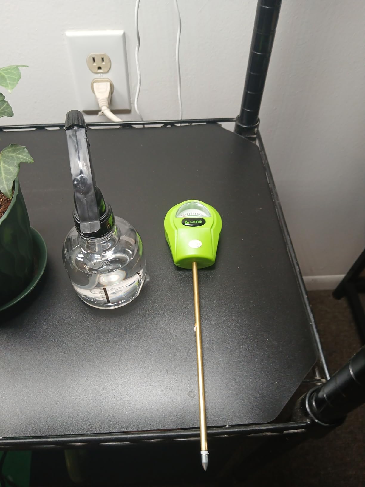 GROWIT Plant Moisture Meter - Accurately Tells You When to Water Your Plants - 26cm, No Battery Needed customer photo 2