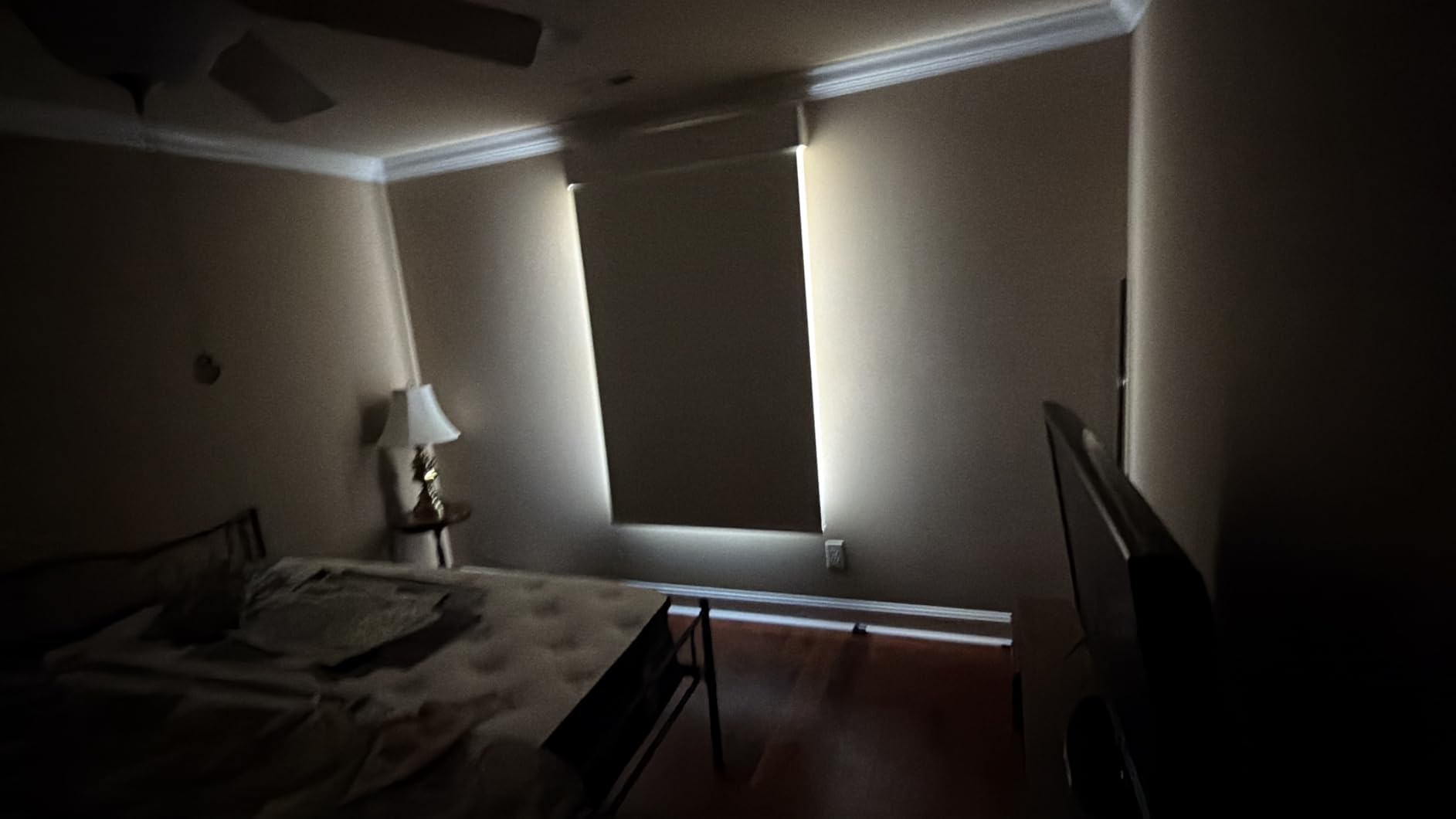 Yoolax Smart Dual Roller Shades, Motorized Blinds with Remote Smart Blinds Compatible with Alexa, Automatic Dual Shades for Windows Bedroom Living Room customer photo 1