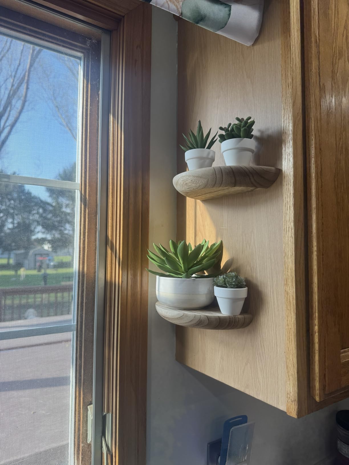 Solid Wood Half Round Floating Wall Shelves | Elegant Floating Shelves, Elevate Your Space. Perfect for Living Rooms, Bathrooms, Bedrooms, Offices, Children's Rooms customer photo 1