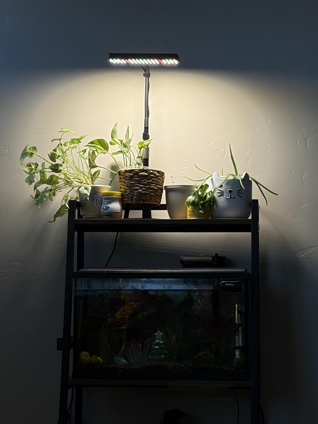 FECiDA Tabletop Grow Lights for Indoor Plants Full Spectrum, Desk Grow Lights for Seed Starting, Bonsai, 4/8/12/16/20 Hr Timer, 208PCS LEDs, 2000 Lumen, Bright Enough, 16-24 Height Adjustable customer photo 2