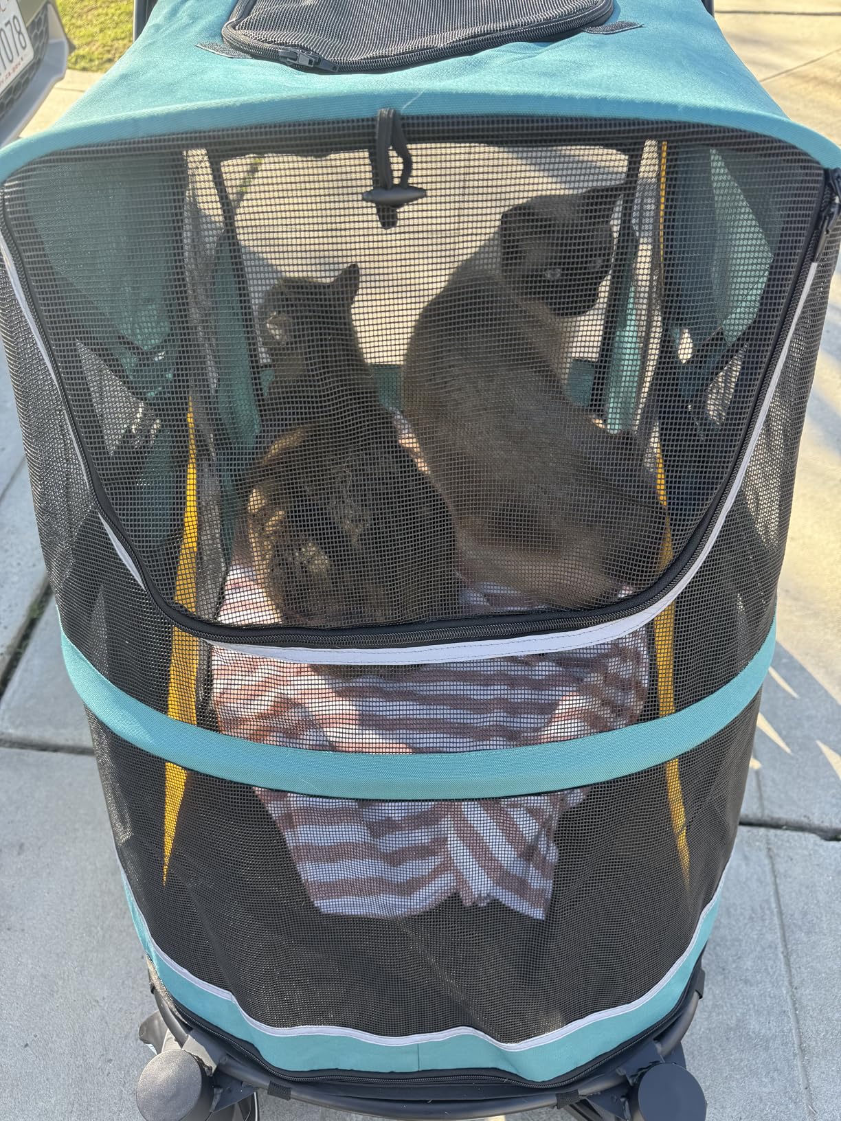 Petbobi Dog Stroller for Large & Medium Dogs - Easy Fold Dual Entry Pet Stroller with One-Foot Brake, All Terrain Wagon Cart with Air Mesh, Ideal for Large Senior Pets up to 80 lbs, Green customer photo 1