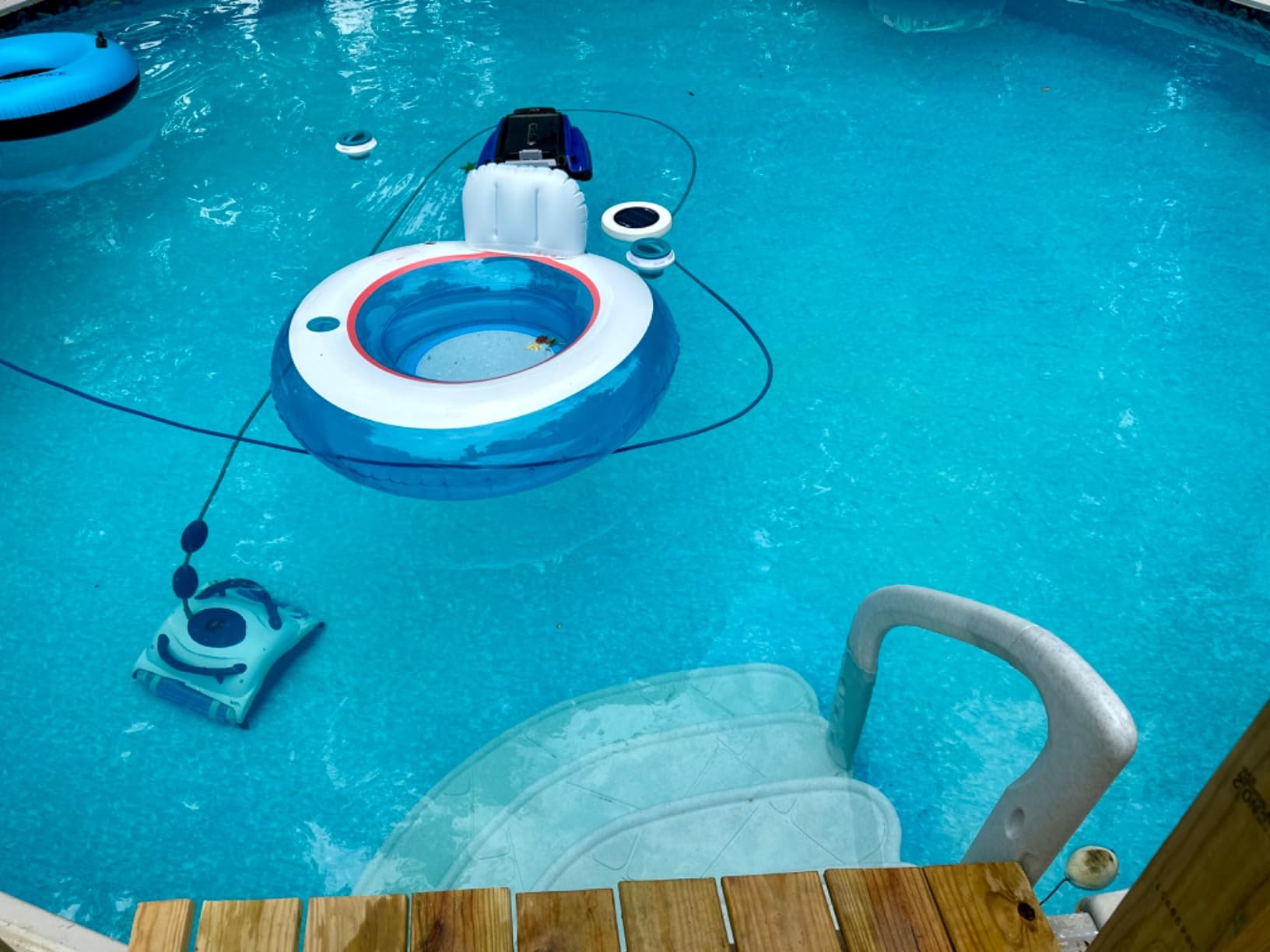 Dolphin Nautilus Pool-Up Robotic Pool Vacuum Cleaner up to 26 FT - Wall Climbing with Scrubber Brush customer photo 1