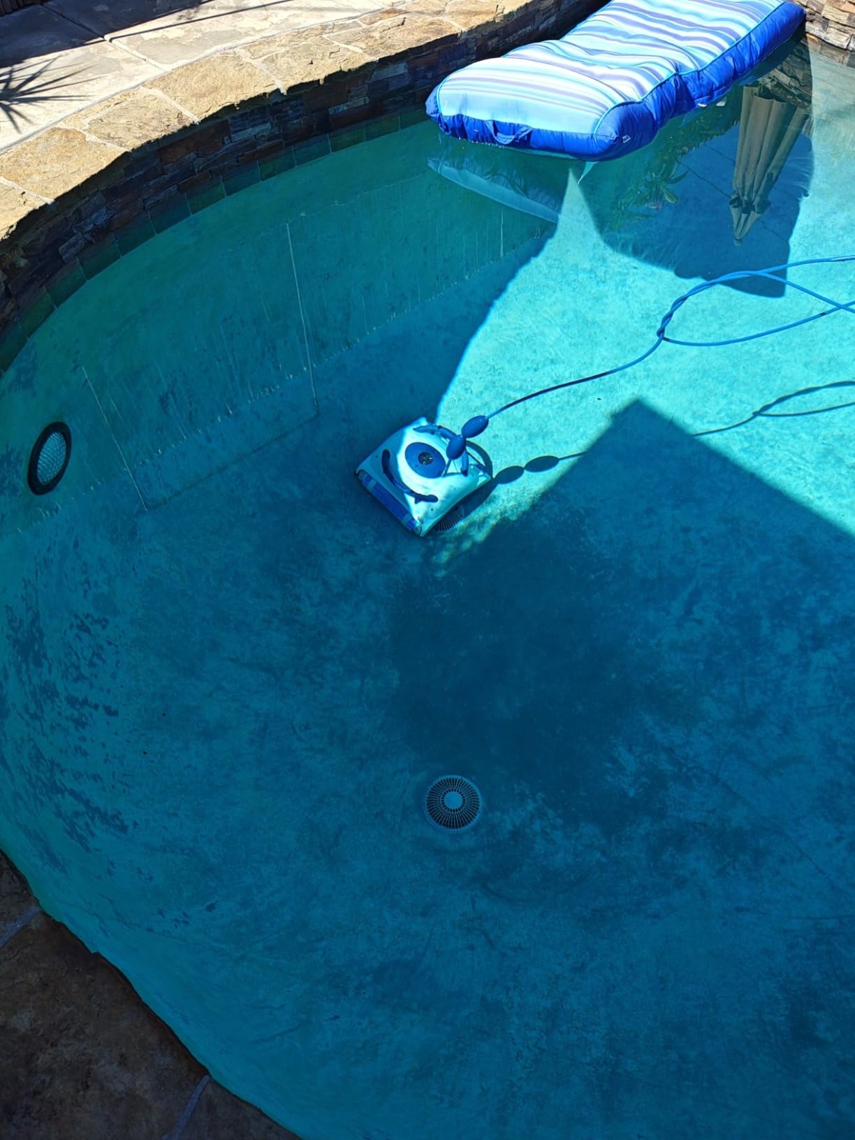 Dolphin Nautilus Pool-Up Robotic Pool Vacuum Cleaner up to 26 FT - Wall Climbing with Scrubber Brush customer photo 2