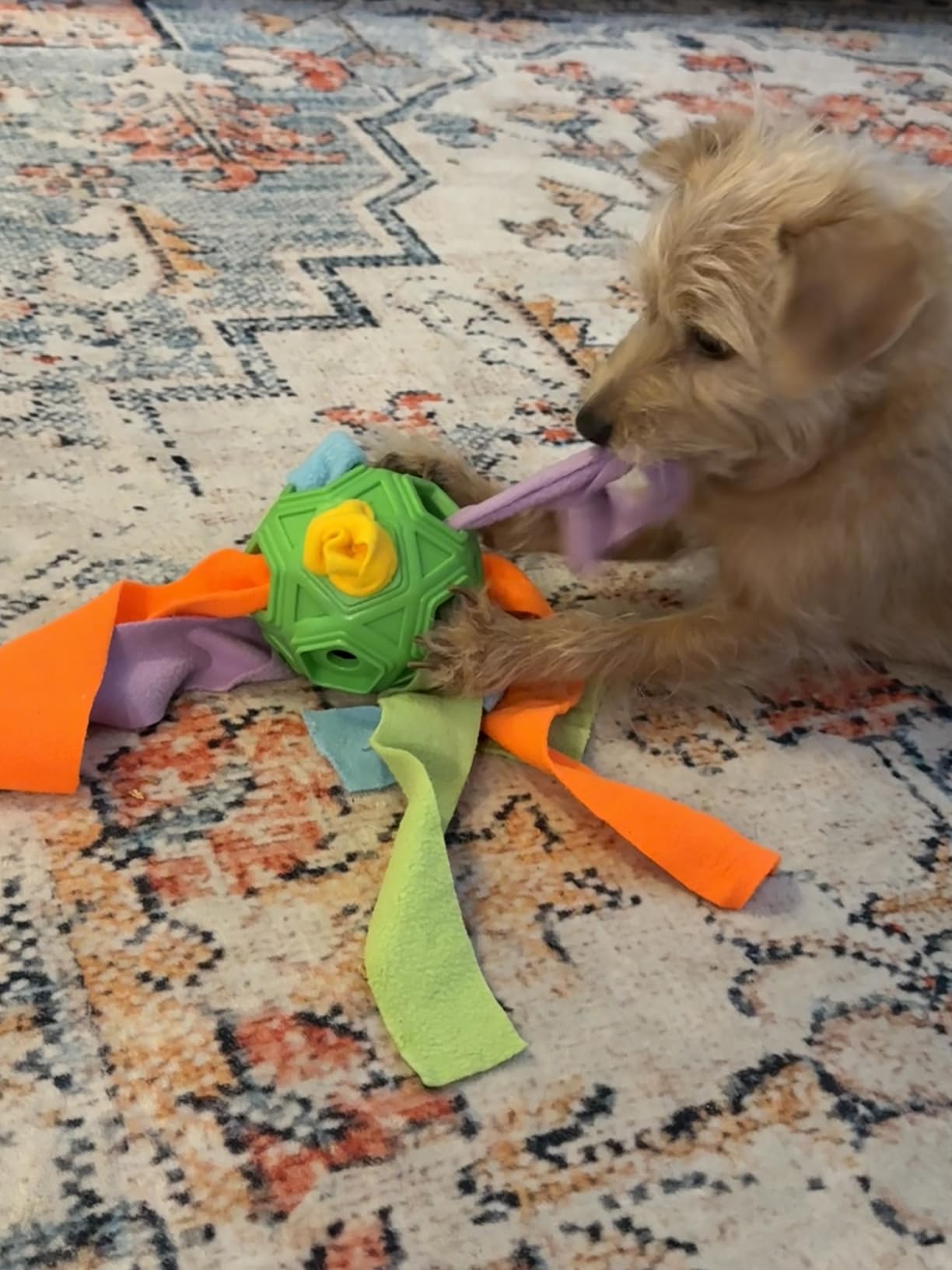 Dog Snuffle Ball-Interactive Puzzle Dog Toys Encourage Natural Foraging Skills Slow Feeder for Training and Stress Relief, Cloth Strip Hiding Food Chew Toys with Squeaky Carrot Toy for Any Size customer photo 2