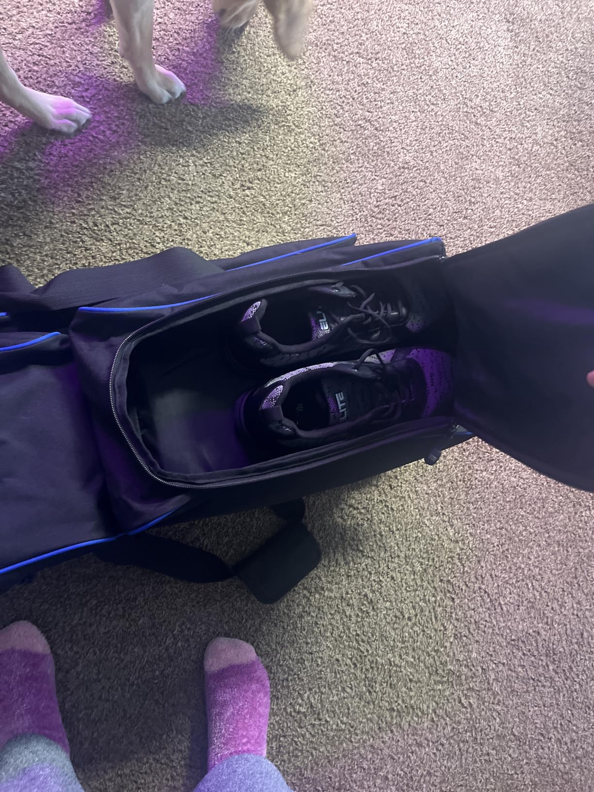 Goloni 3 Ball Bowling Bags with Wheels - Rolling Bowling Bag for 3 Balls & Accessories customer photo 1
