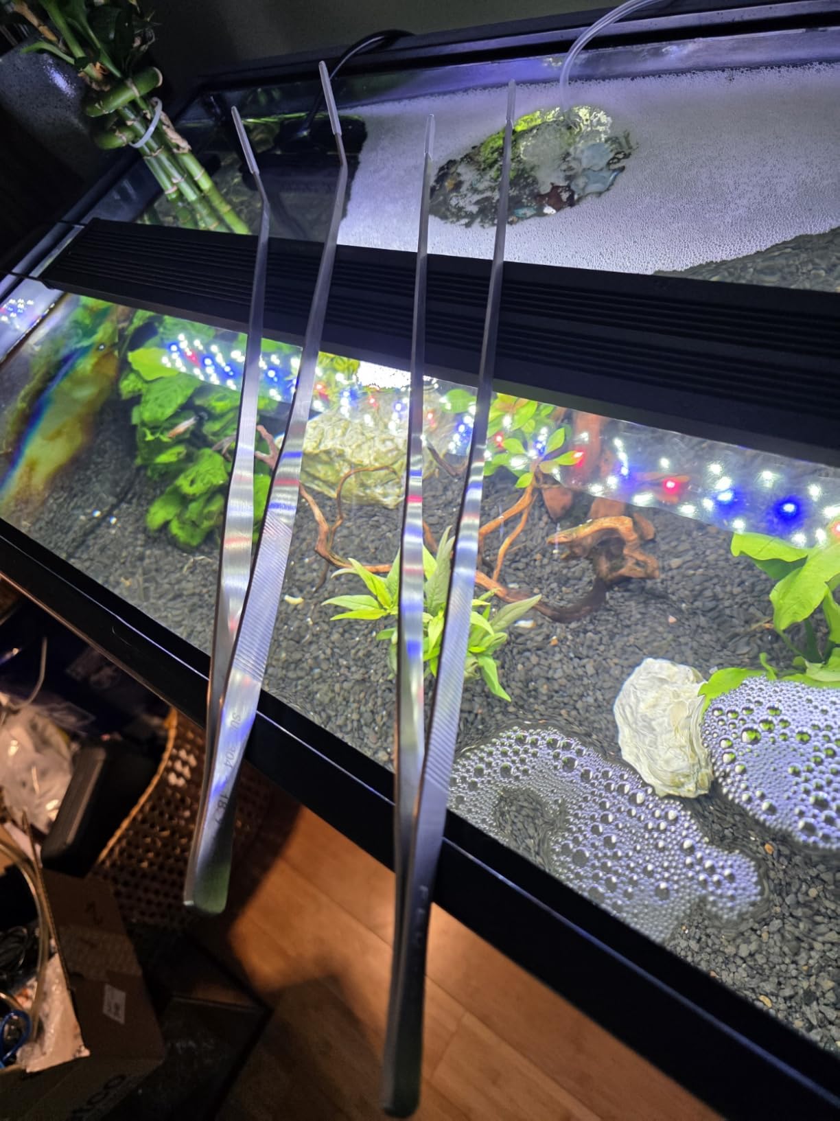 Extra Long Tweezers, Feeding Tongs, 18.9 inch Aquarium Stainless Steel Large Aquascape Tools for Fish Tank, Terrarium, Aquascaping, Reptile Snake (Curved) customer photo 1