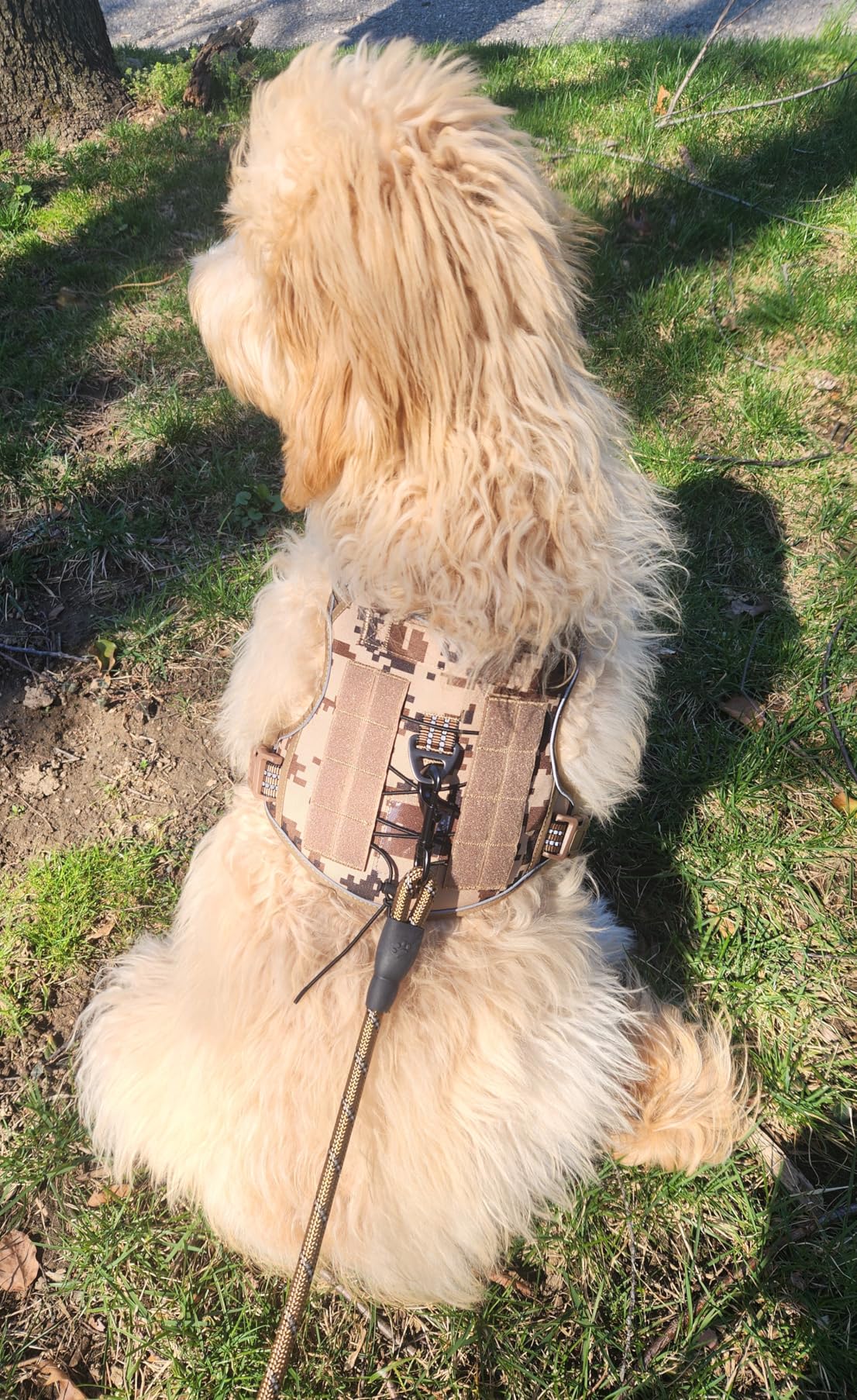 Beebiepet Heavy Duty Tactical Dog Harness for Large Dogs, No Pull Adjustable Pet Harness Reflective Service Training Easy Control Pet Vest Military K9 Working Dog Harnesses-X- Large, Brown customer photo 1