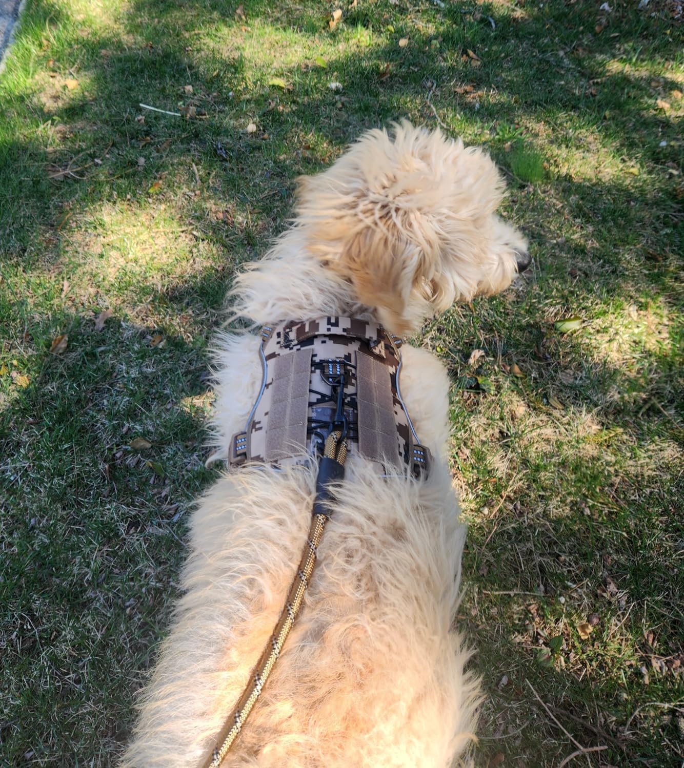 Beebiepet Heavy Duty Tactical Dog Harness for Large Dogs, No Pull Adjustable Pet Harness Reflective Service Training Easy Control Pet Vest Military K9 Working Dog Harnesses-X- Large, Brown customer photo 2