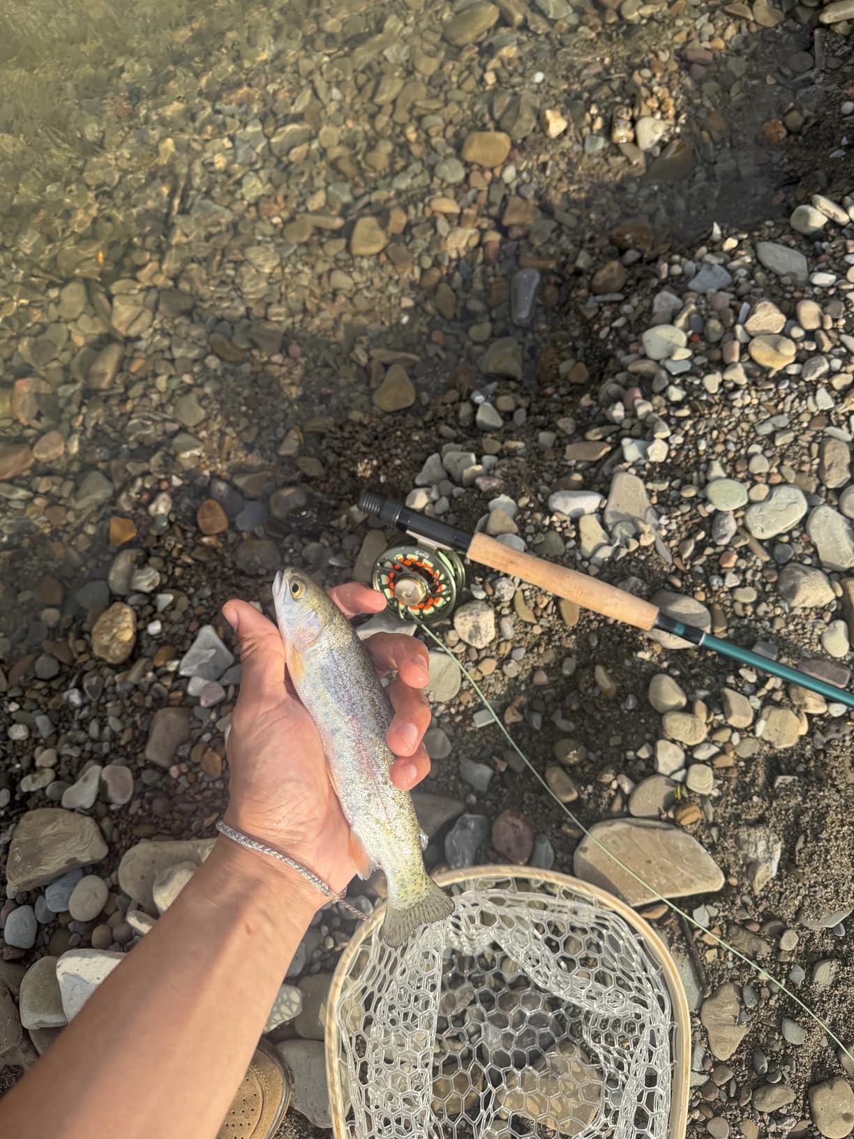 Piscifun Sword Fly Fishing Reel, CNC-Machined Aluminum Alloy Fly Reel, 3/4, 5/6, 7/8, 9/10 Weight customer photo 1