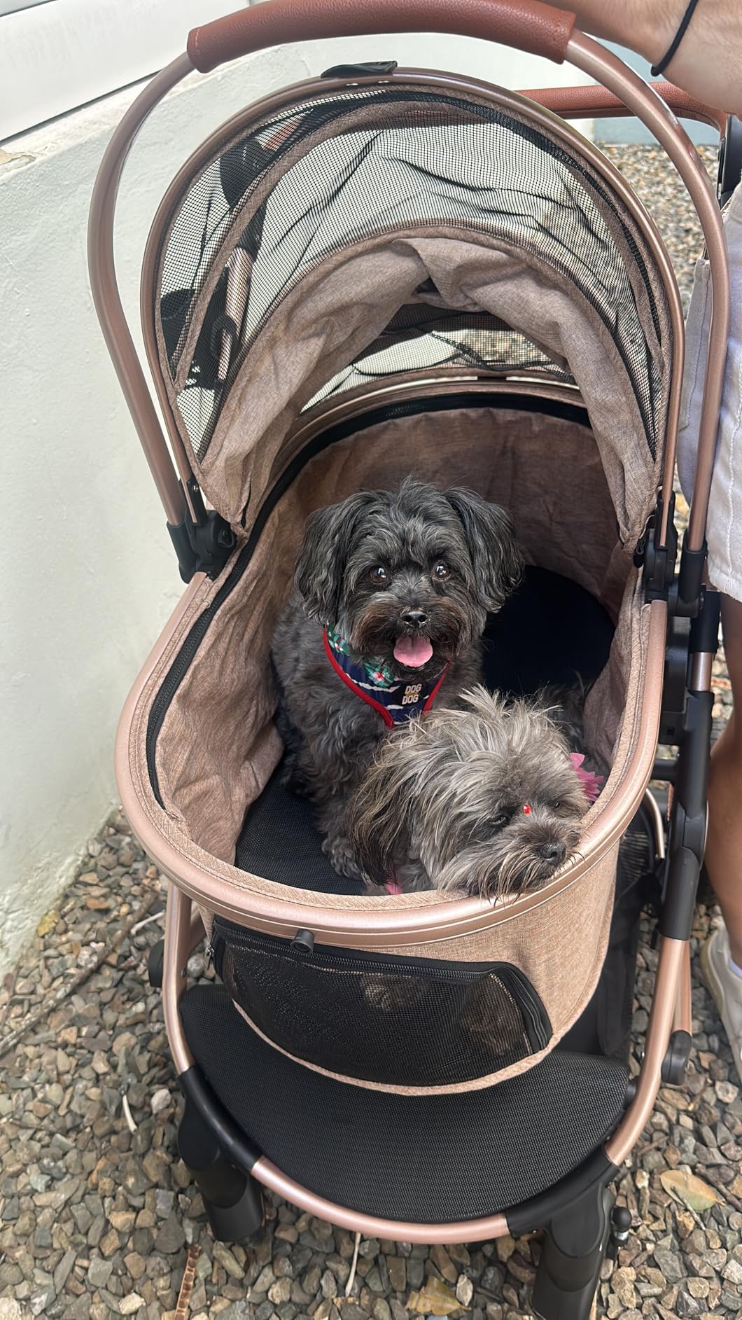 Pet Stroller for Medium Dogs, Smooth-Ride Dog Stroller with Detachable Carrier, Rubber Wheels, Car Seat Combo 3-in-1, Up to 50 lbs, for Senior Dogs & Cats, Grey customer photo 1