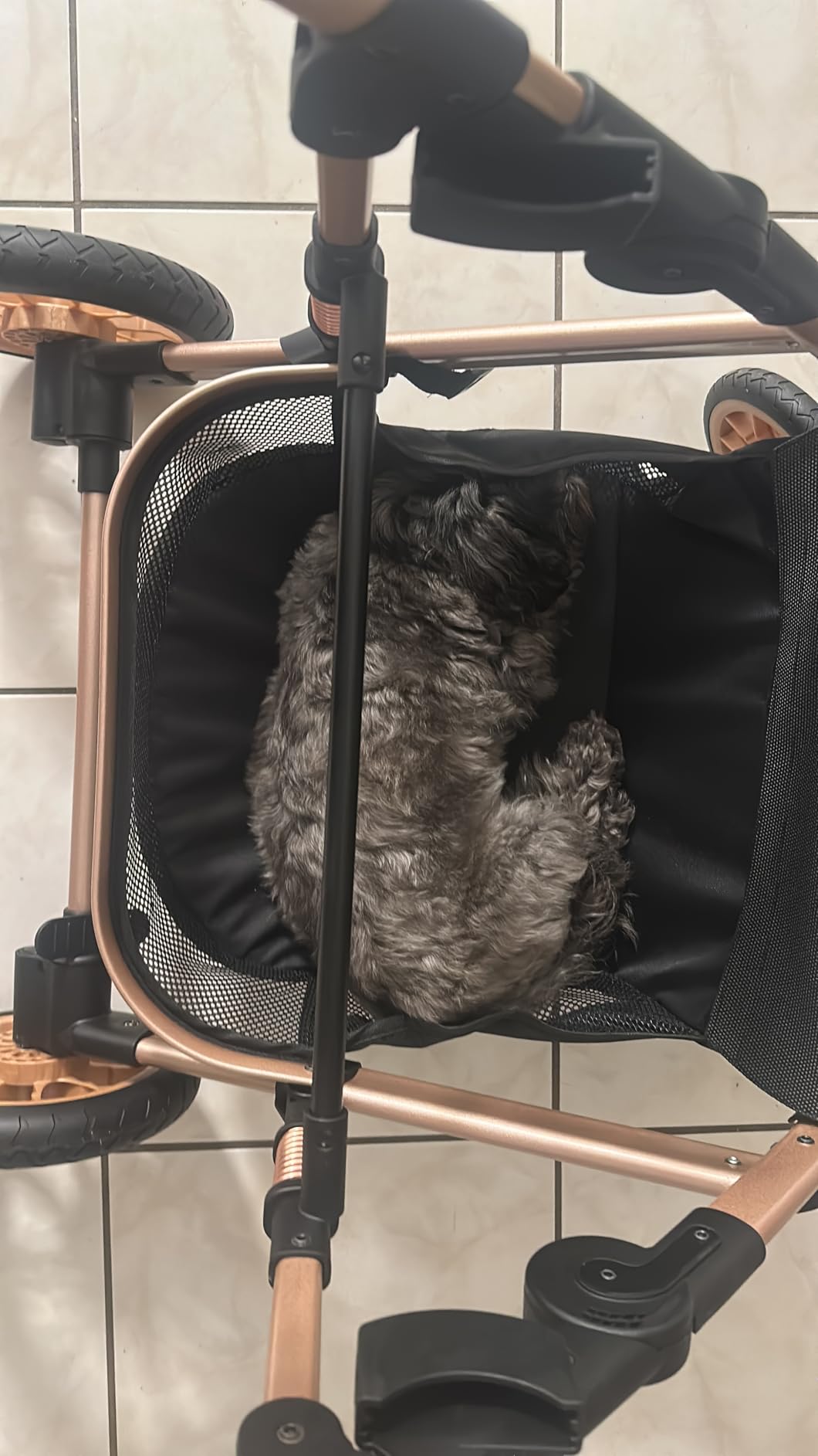 Pet Stroller for Medium Dogs, Smooth-Ride Dog Stroller with Detachable Carrier, Rubber Wheels, Car Seat Combo 3-in-1, Up to 50 lbs, for Senior Dogs & Cats, Grey customer photo 2