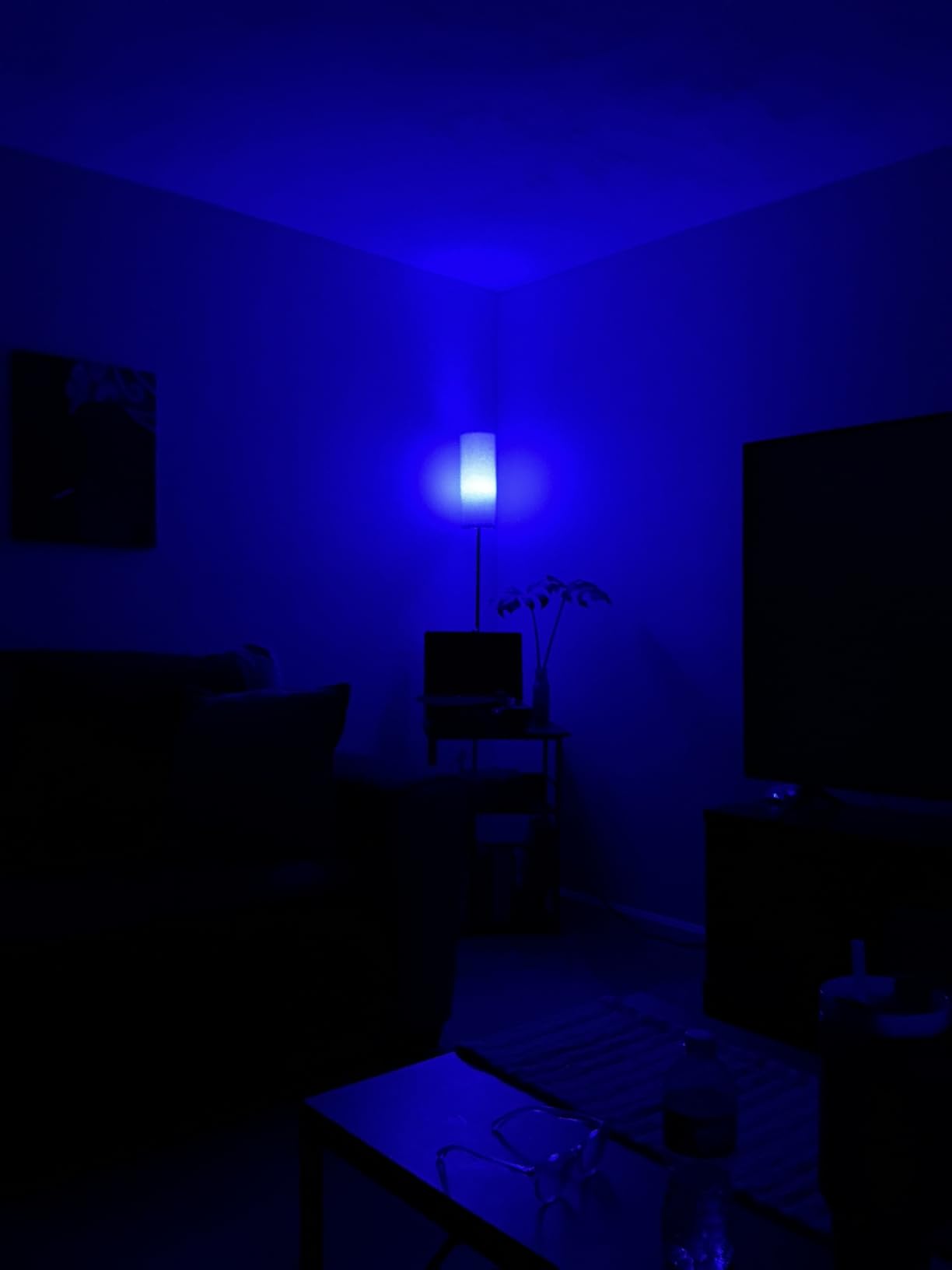 FRIDEKO HOME Floor Lamp, 9W 800LM Color Changing Smart Lamp with Music Sync, App & Remote Control, Adjustable Brightness & Color Temperature Standing Light for Living Room Bedroom Gaming, Beige Shade customer photo 1