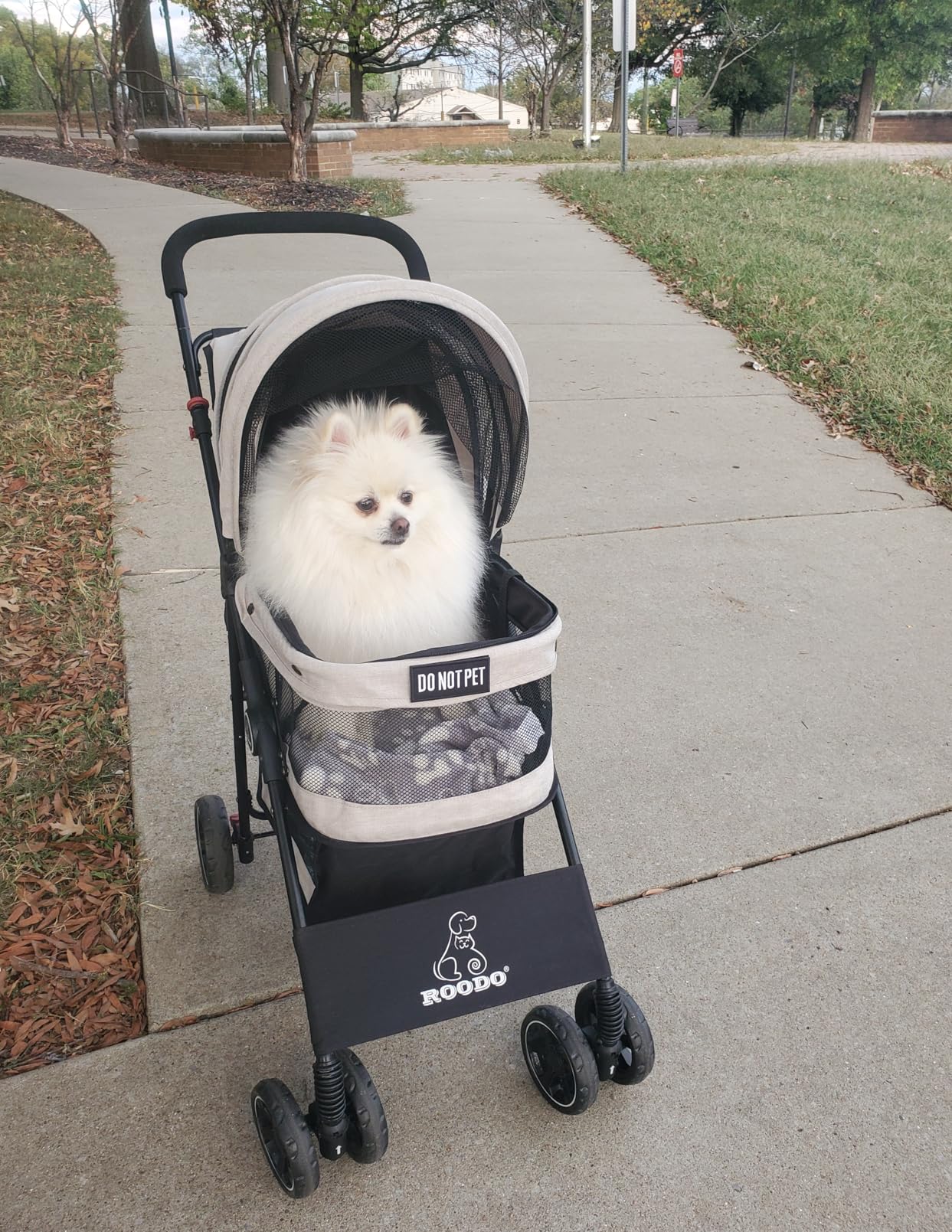 ROODO 4 Wheel Dog Cat Pet Stroller Best Lightweight Foldable Compact Portable Jogger All Terrain Travel Pet Gear Puppy Doggie Bunny Kitty Stroller for up to 30lbs Medium Small Dogs Cats(Light Khaki) customer photo 2