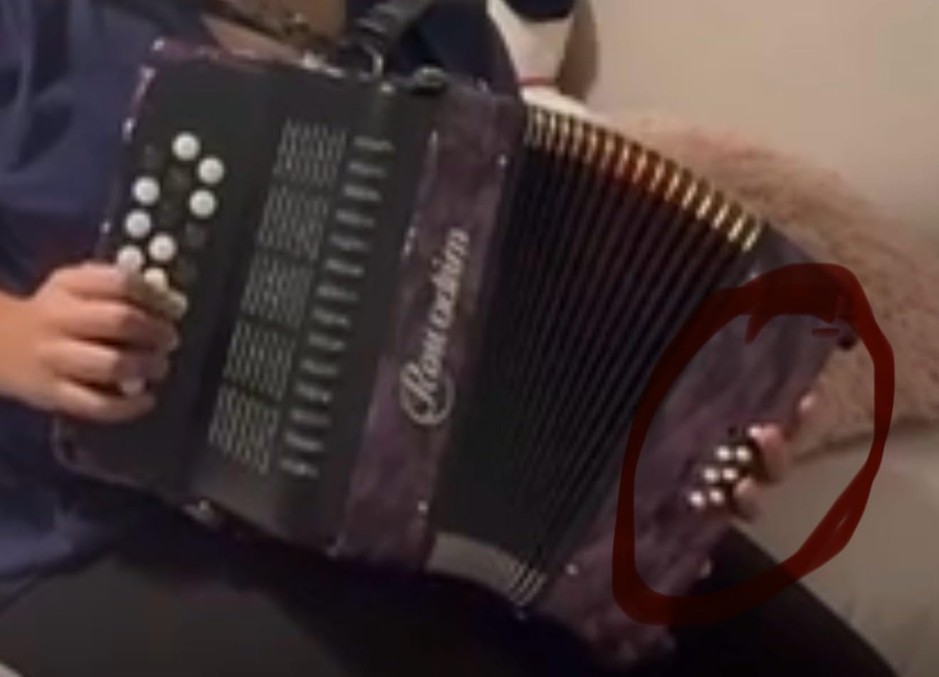Accordion - 22 keys 8 bass, lightweight piano accordion for beginners, vibrant design for beginners and adults for easy learning (8 Bass, Black) customer photo 2