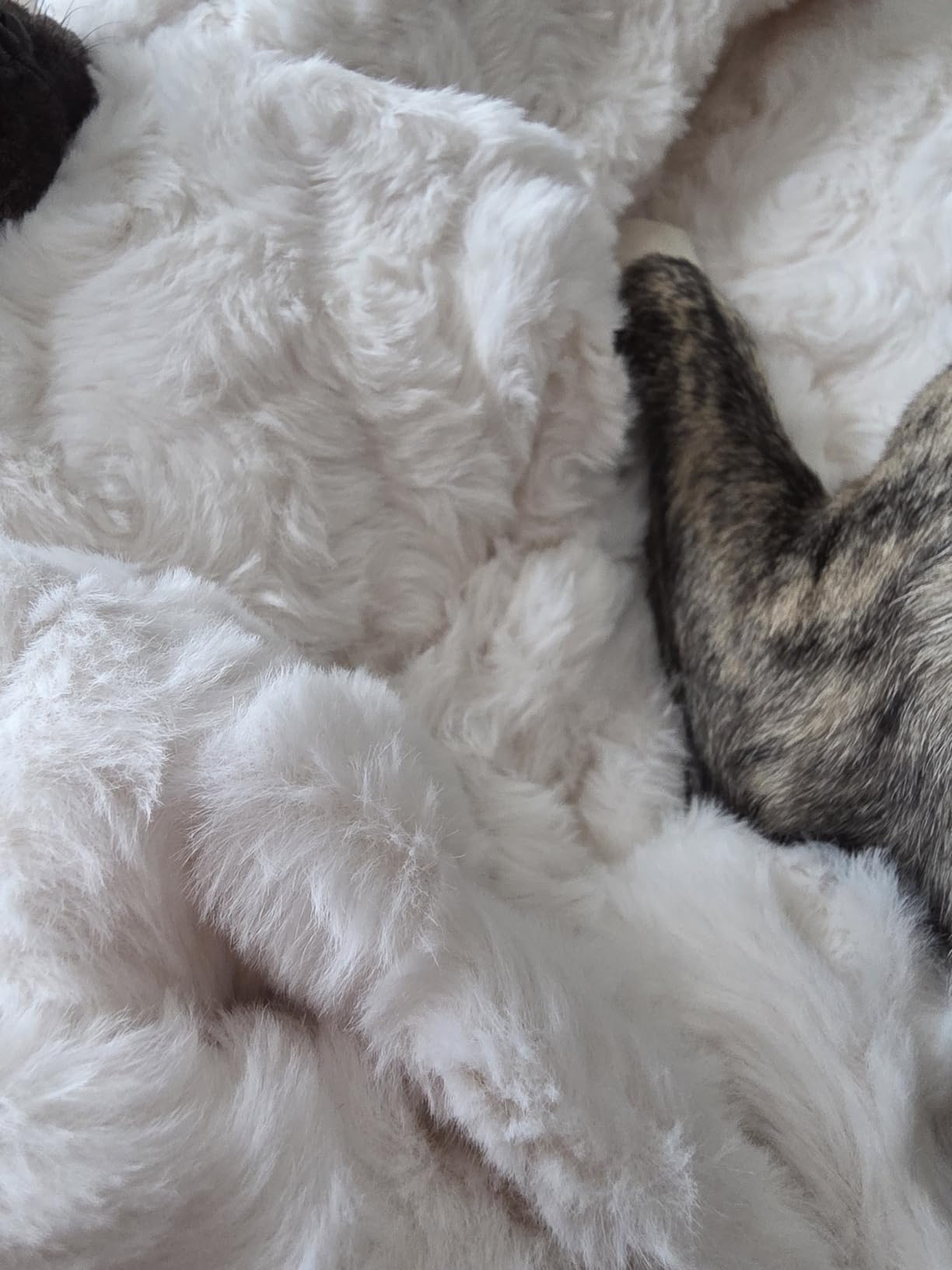 Bearhug Electric Blanket King Size 100