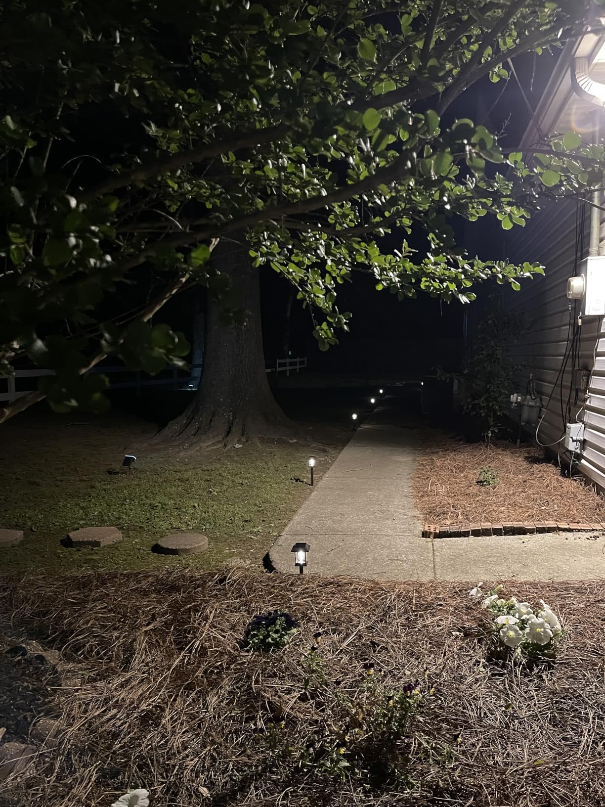 Greluna Solar Lights Outdoor,12 Pack 3000K Waterproof Auto On/Off Solar Pathway Lights for Your Garden, Landscape, Path, Yard, Patio, Driveway,Walkway Decor customer photo 2