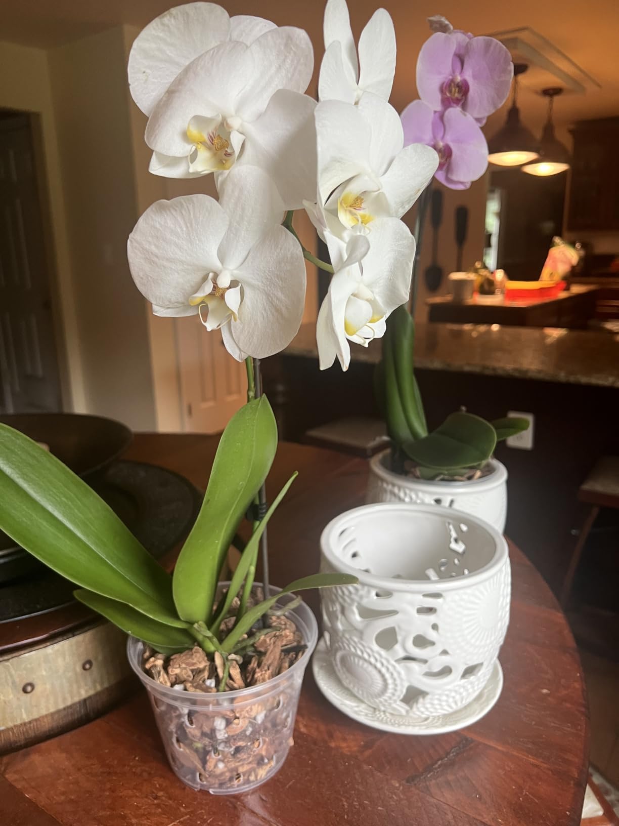 HERDUK Ceramic Orchid Pot, Orchid Pots with Drainage Holes & Saucer 6.5 Inch, Orchid Pot for Repotting Indoor, Orchid Containers with Precise Aeration & Drainage customer photo 1