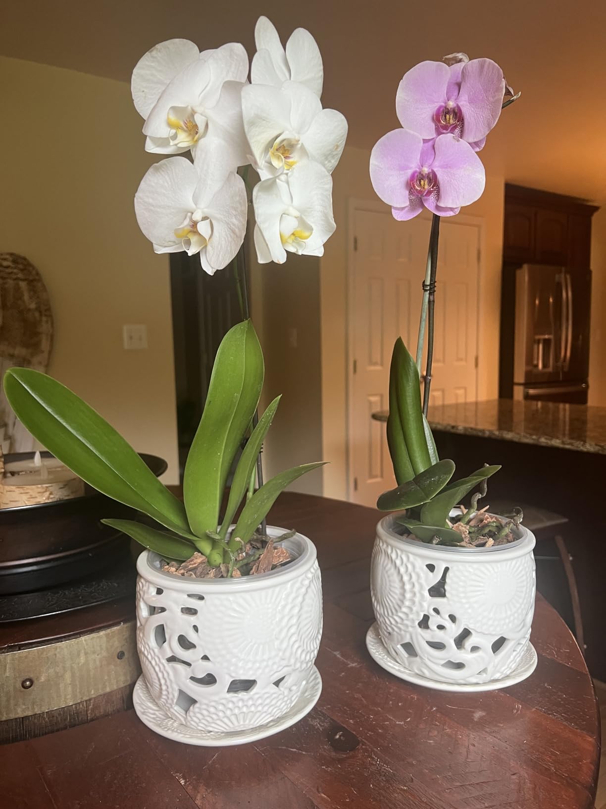 HERDUK Ceramic Orchid Pot, Orchid Pots with Drainage Holes & Saucer 6.5 Inch, Orchid Pot for Repotting Indoor, Orchid Containers with Precise Aeration & Drainage customer photo 2