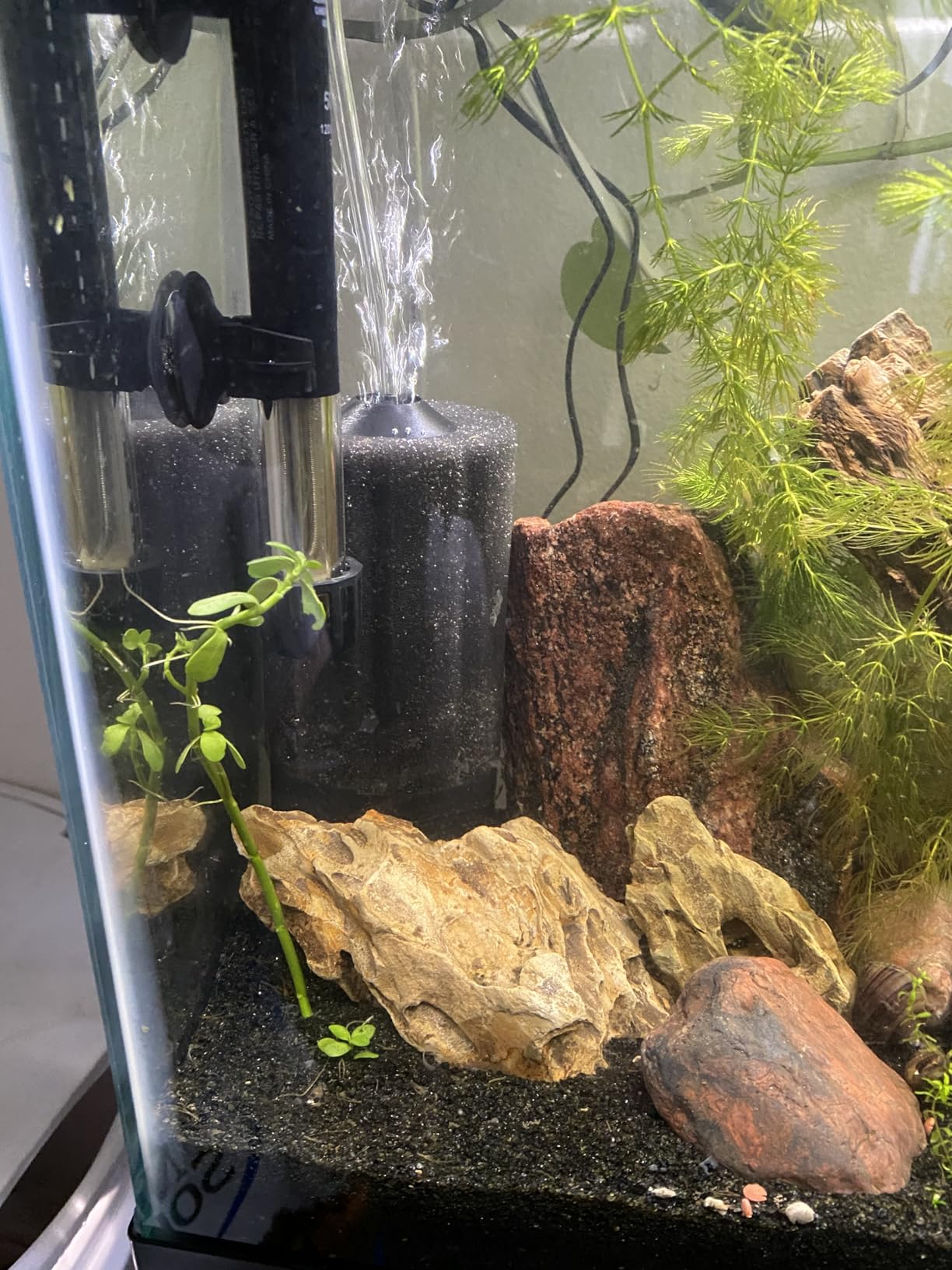 hygger Aquarium Sponge Filter 55-125 Gallon Fish Tank Filter for Breeding Fry Shrimp Snails Betta Air-Powered Filter with Reusable Biochemical Ball Spare Sponge Foam Filter customer photo 2