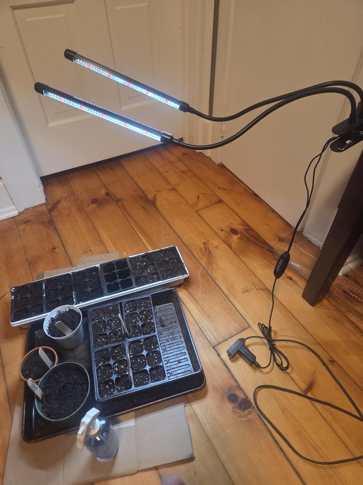 Black Grow Lights for Indoor Plants, 168 LEDs Clip Plant Lights, Full Spectrum LED Plant Growing Lamps with Flexible Gooseneck 4/8/12/18H Timer, 3 Spectral Modes, 10 Dimmable Levels, 2Head x 2 Pack customer photo 2
