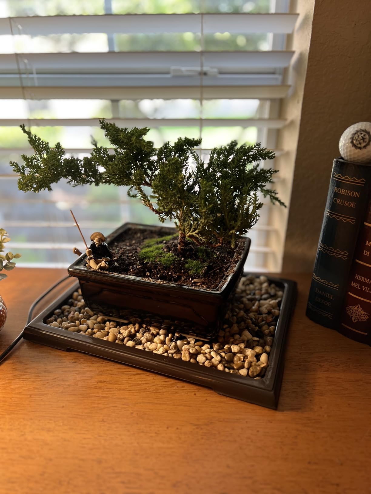 KEOHOLI 2 Packs Bonsai Humidity Plant Tray Drip Trays, Square Plastic Pot Saucer Draining Tray for Indoors Outdoors for Cactus, Succulents, Bonsai Tree, Stone to Drain, Protect, Decorate(11.4*8.4Inch) customer photo 1