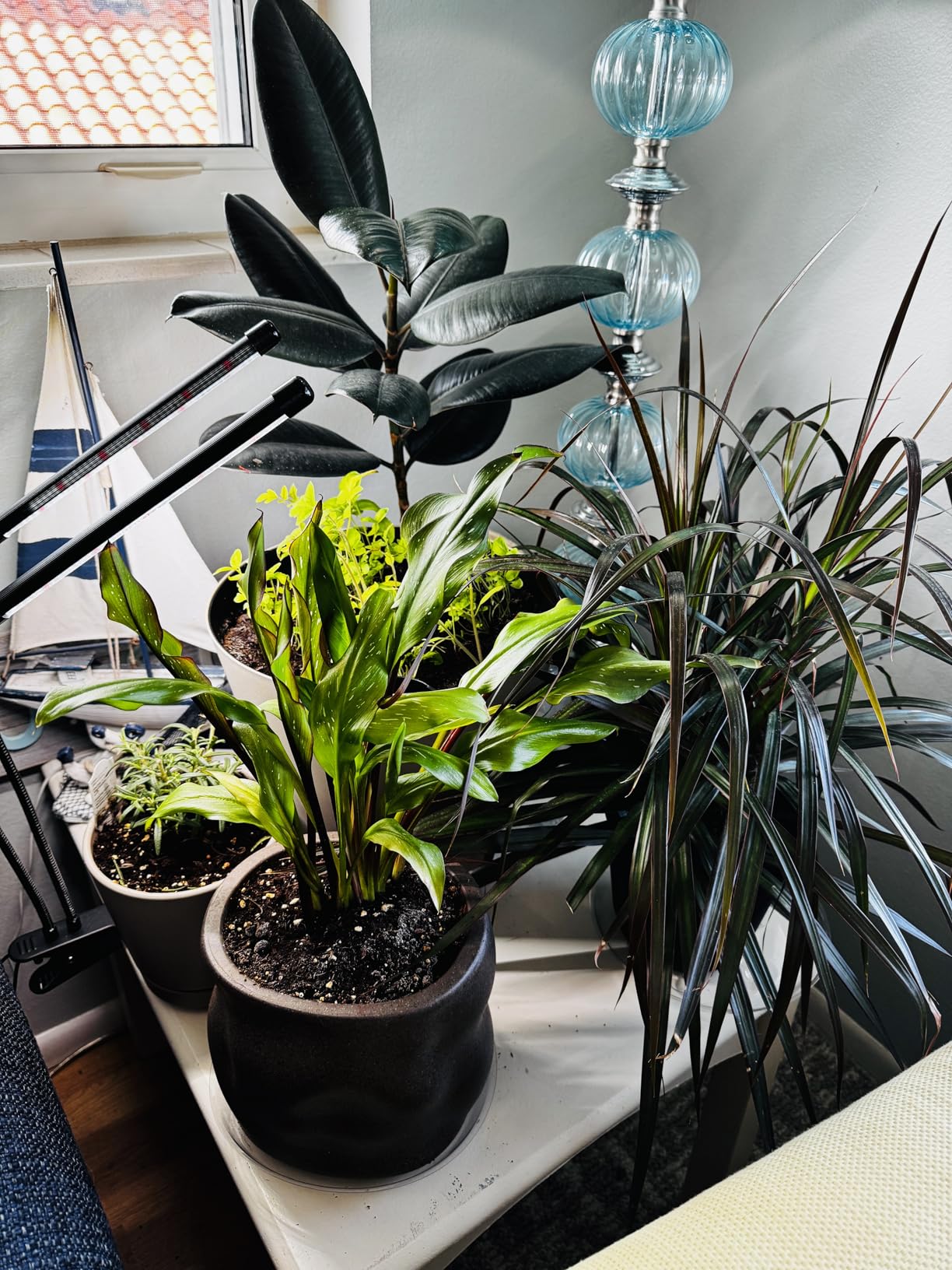 Grow Lights for Indoor Plants, Upgrade 84 LEDs Clip Plant Lights, Full Spectrum LED Plant Growing Lamps with Flexible Gooseneck, 3/9/12H Timer, 3 Spectral Modes, 10 Dimmable Levels (2 Head 1 pack) customer photo 2