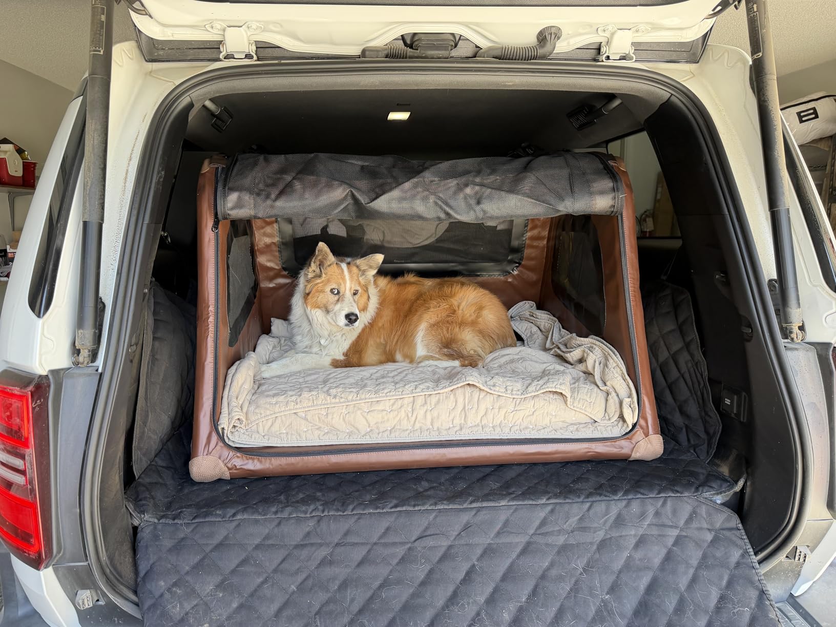 Collapsible Portable Soft Dog Crate-HIGHPI Inflatable Dog Travel Crate for Large Dogs, Waterproof Dog Kennel Outdoor Indoor, Safety Foldable Dog Cage for Car Home, Dog Carrier 37''Lx32''Wx26''H customer photo 2