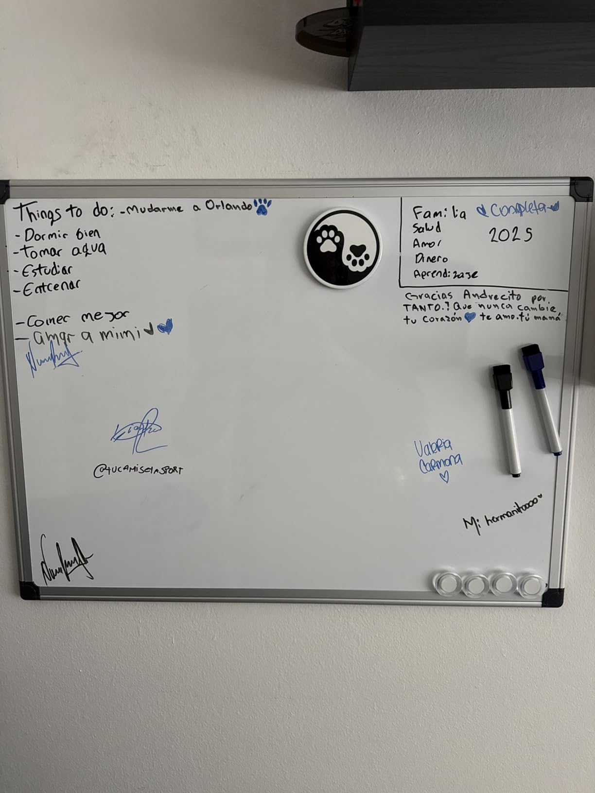 VUSIGN Magnetic White Board Kit for Wall 24