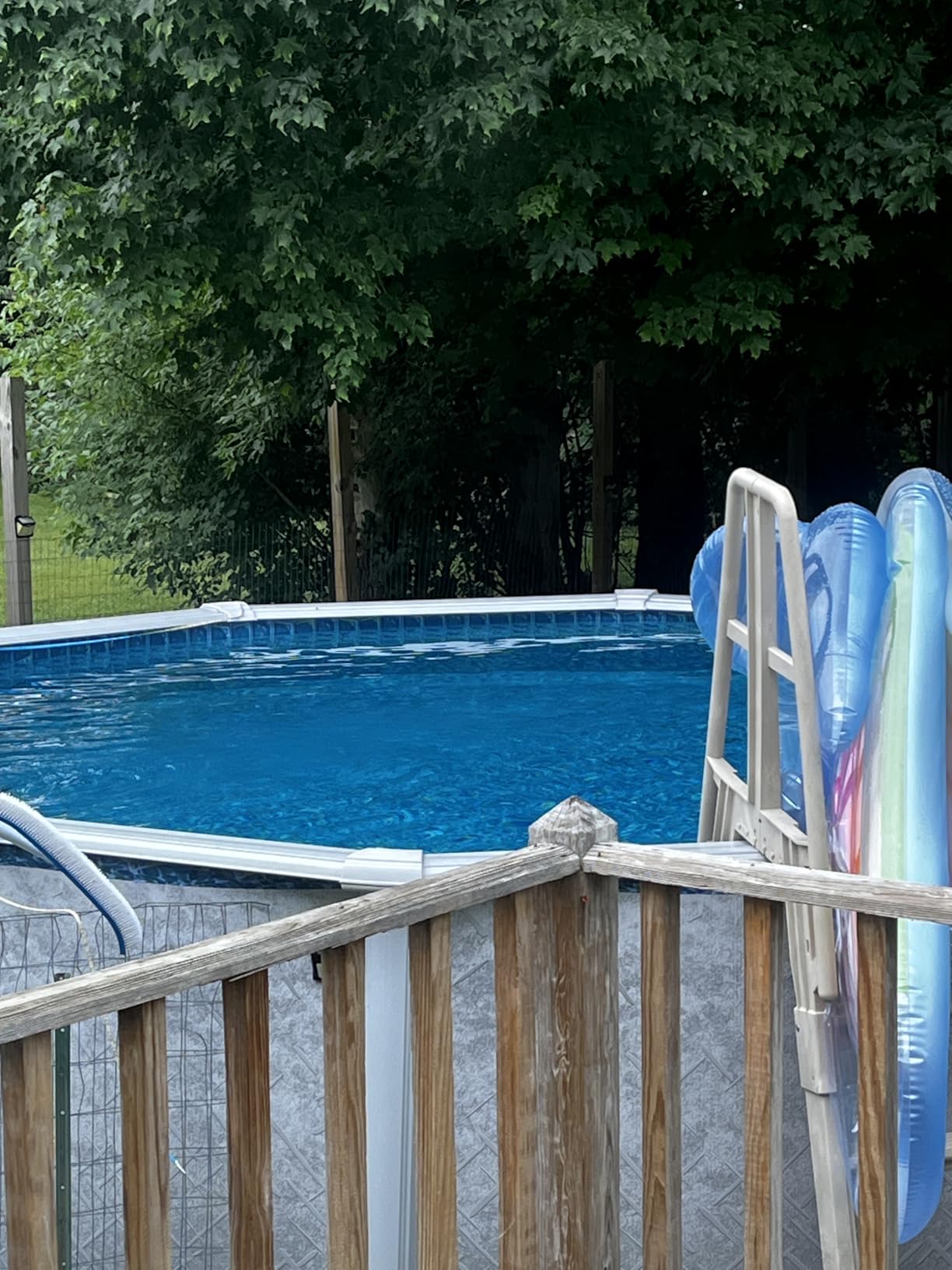 Pool Brush Head, 17