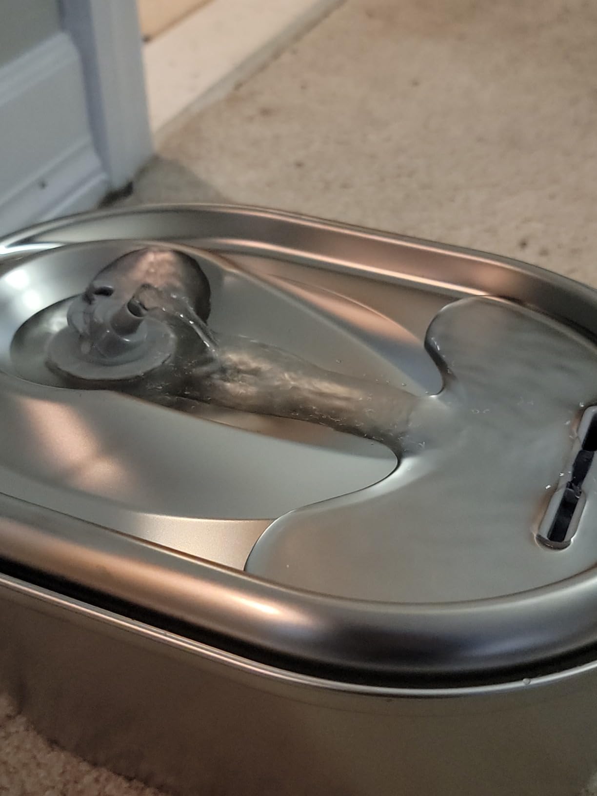 PETLIBRO Stainless Steel Cat Water Fountain, 101oz/3L Pet Water Fountain for Cats Inside, Food-Grade Dog Water Fountain, Automatic Cat Water Dispenser customer photo 2