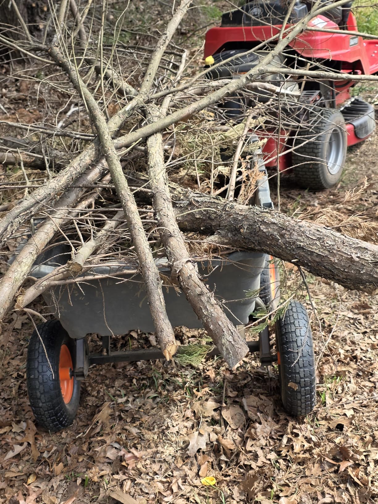 VEVOR 1200lbs 7Cu.Ft. Garden Dump Cart with 2-in-1 Convertible Handle and 13in All Terrain Wheels, Heavy Duty Poly Yard Dump Wagon Utility ATV Trailer Dump Cart Tow Behind for Lawn Mower Tractor customer photo 1